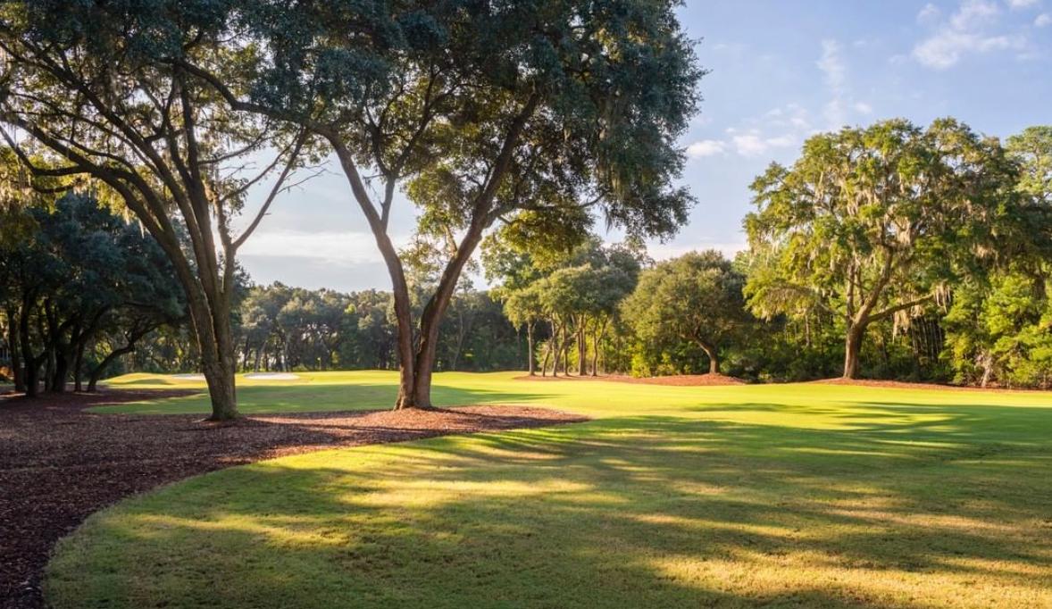 A fairway leading to the green between t forest like trees