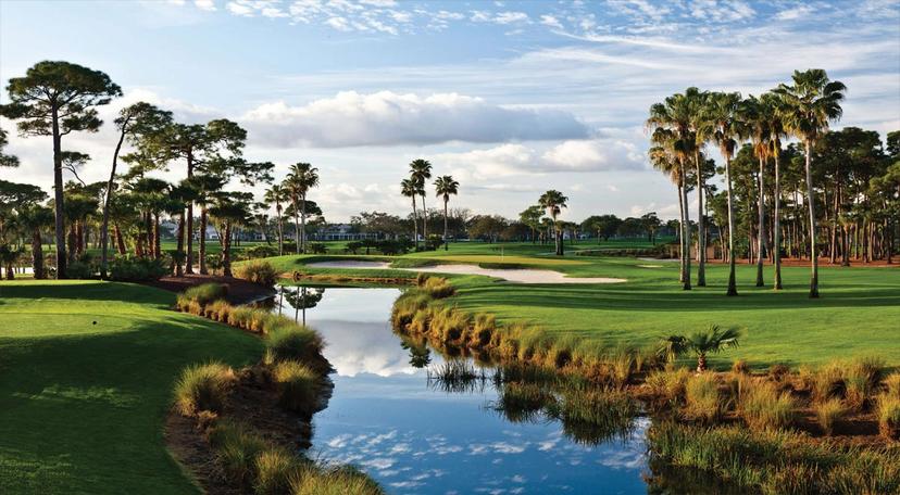 Panoramic view of the course nestled with palm trees and a lake leading through the course