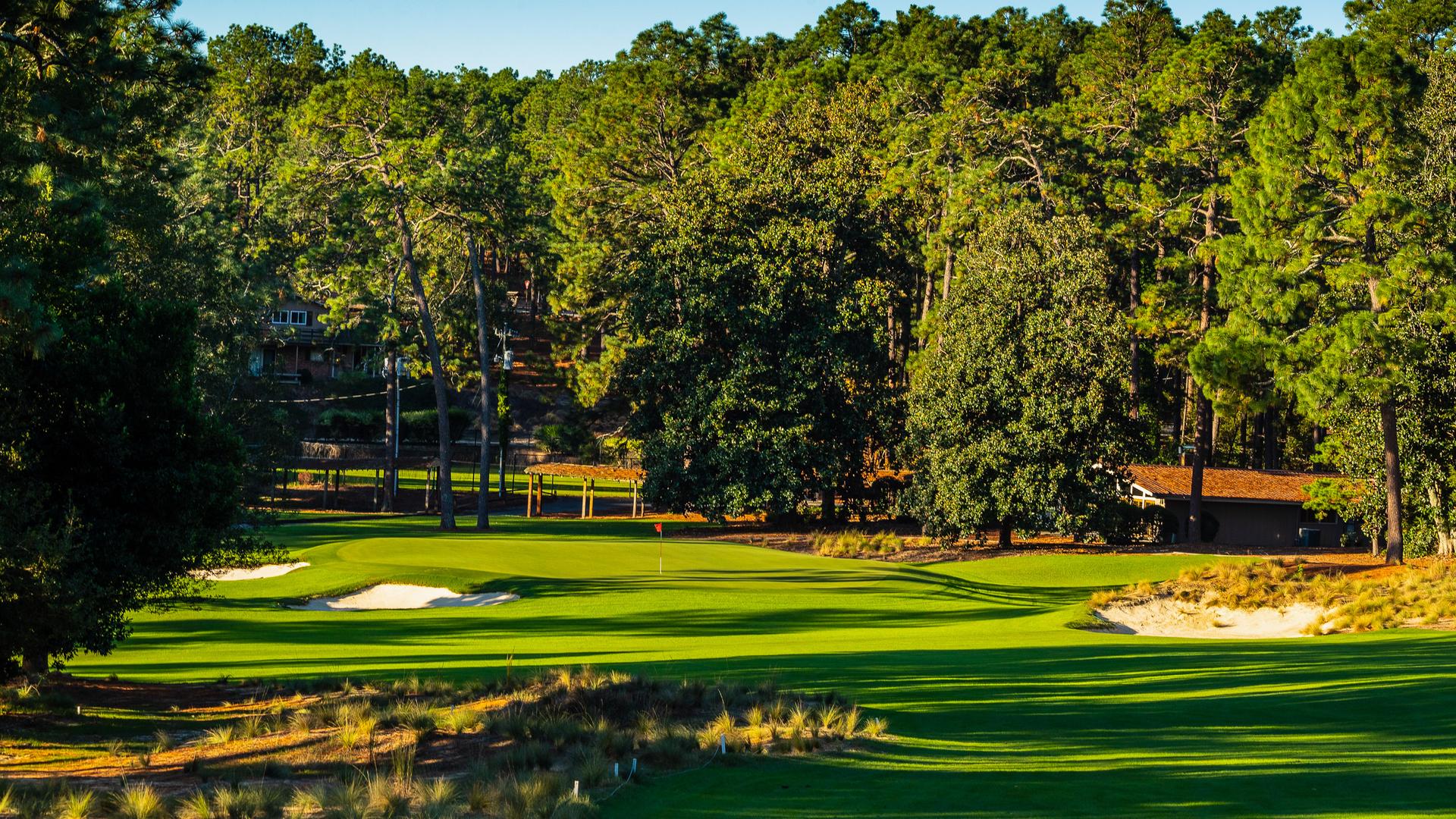 Pine Needles golf course’s green framed by tall pine trees and natural sandy roughs.
