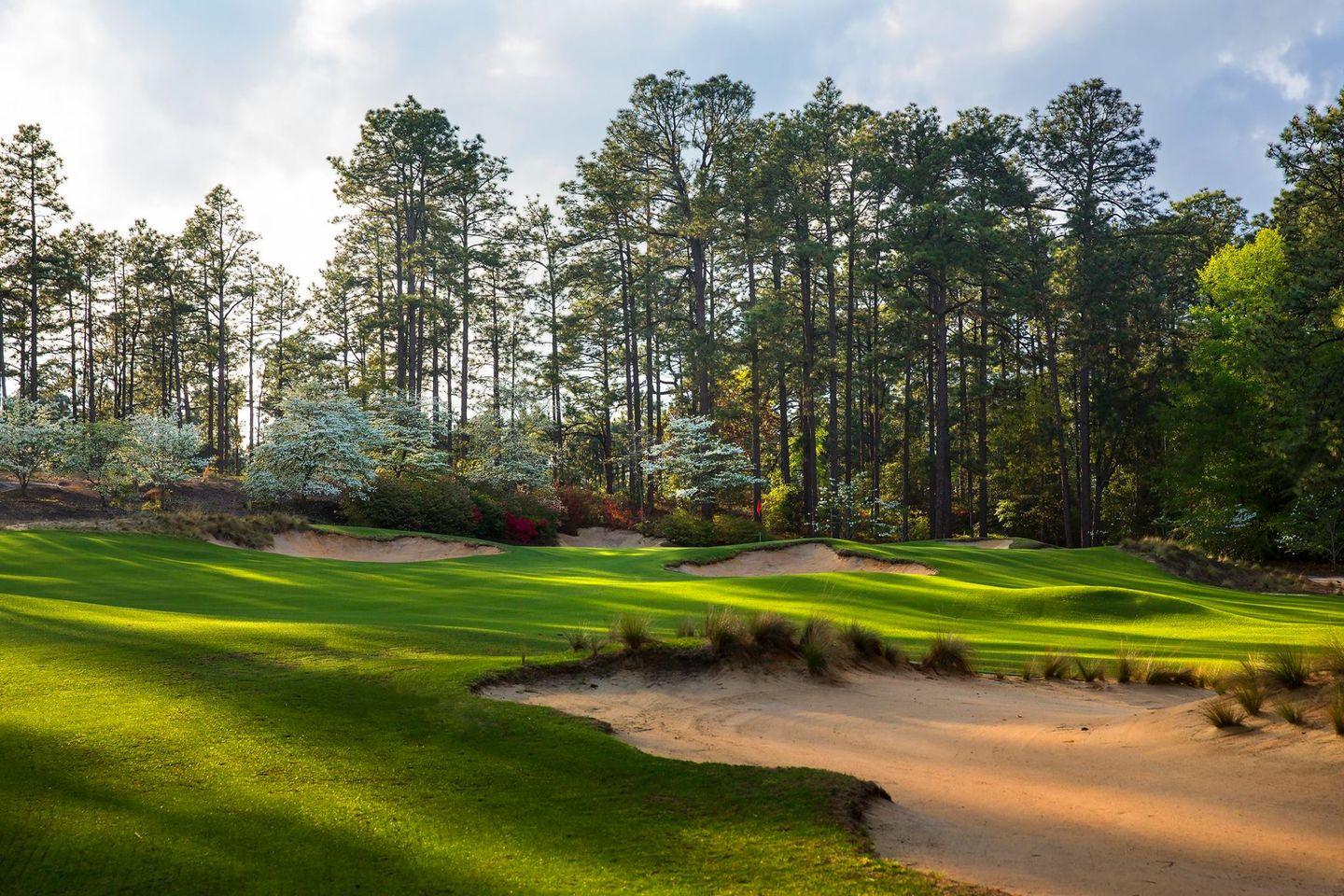 Rolling fairway with vibrant greenery and natural sand bunkers for a classic challenge.
