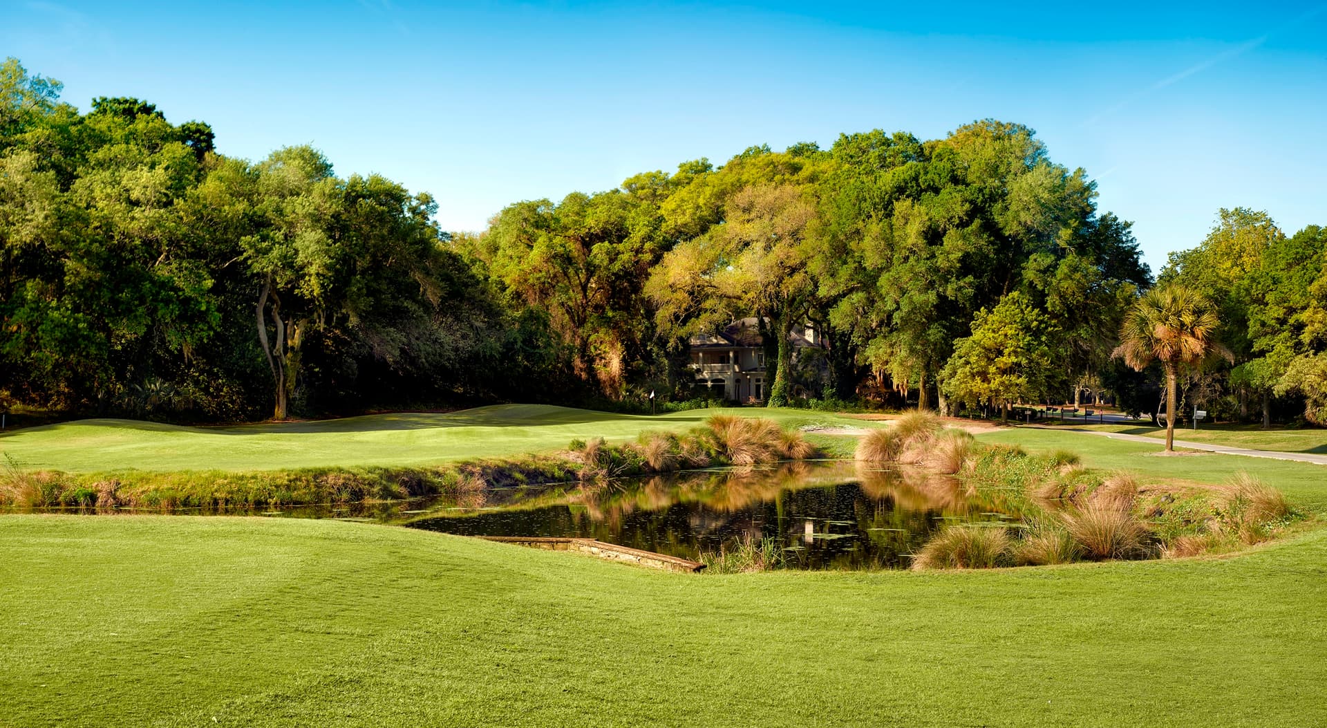 A pond borders a lush golf green with natural landscaping.