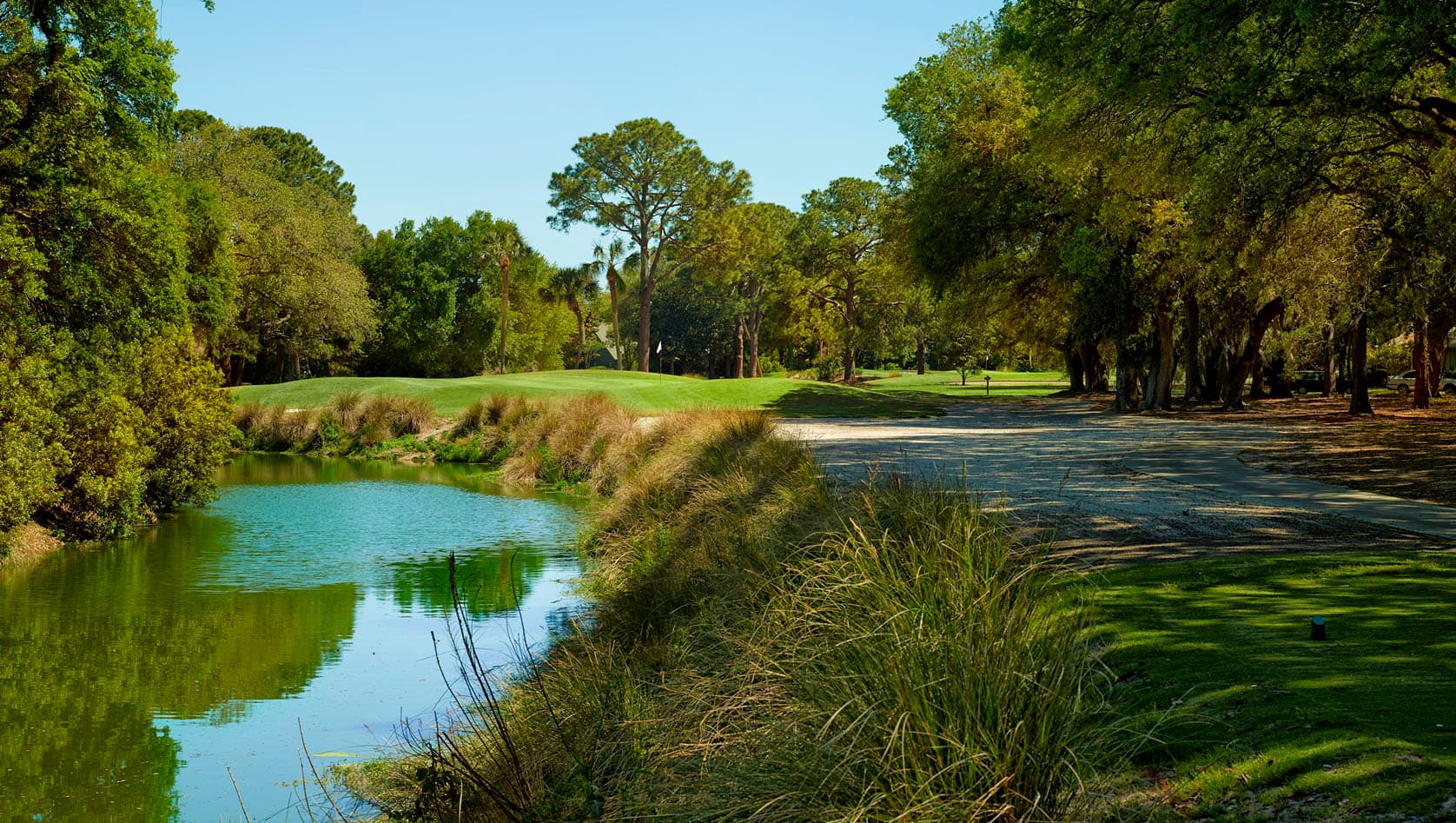 A peaceful waterway borders a green, framed by dense trees and shrubs.