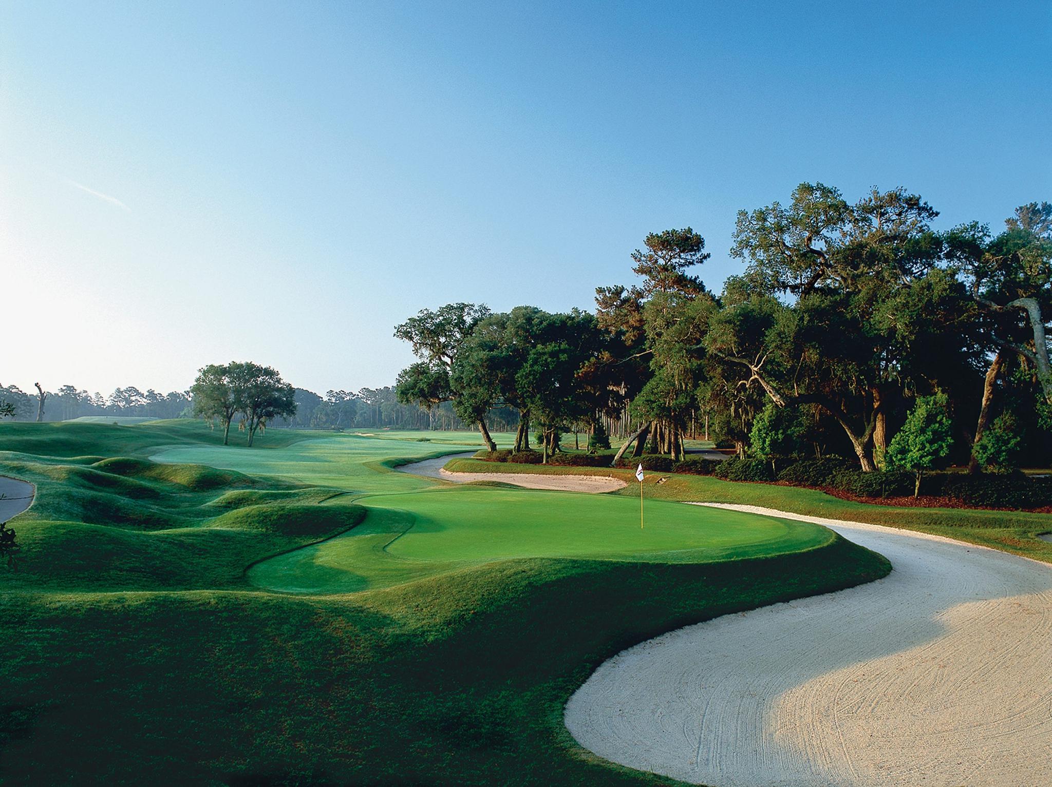 Rolling dunes leading to a smooth green strategically placed next to a large sand bunker