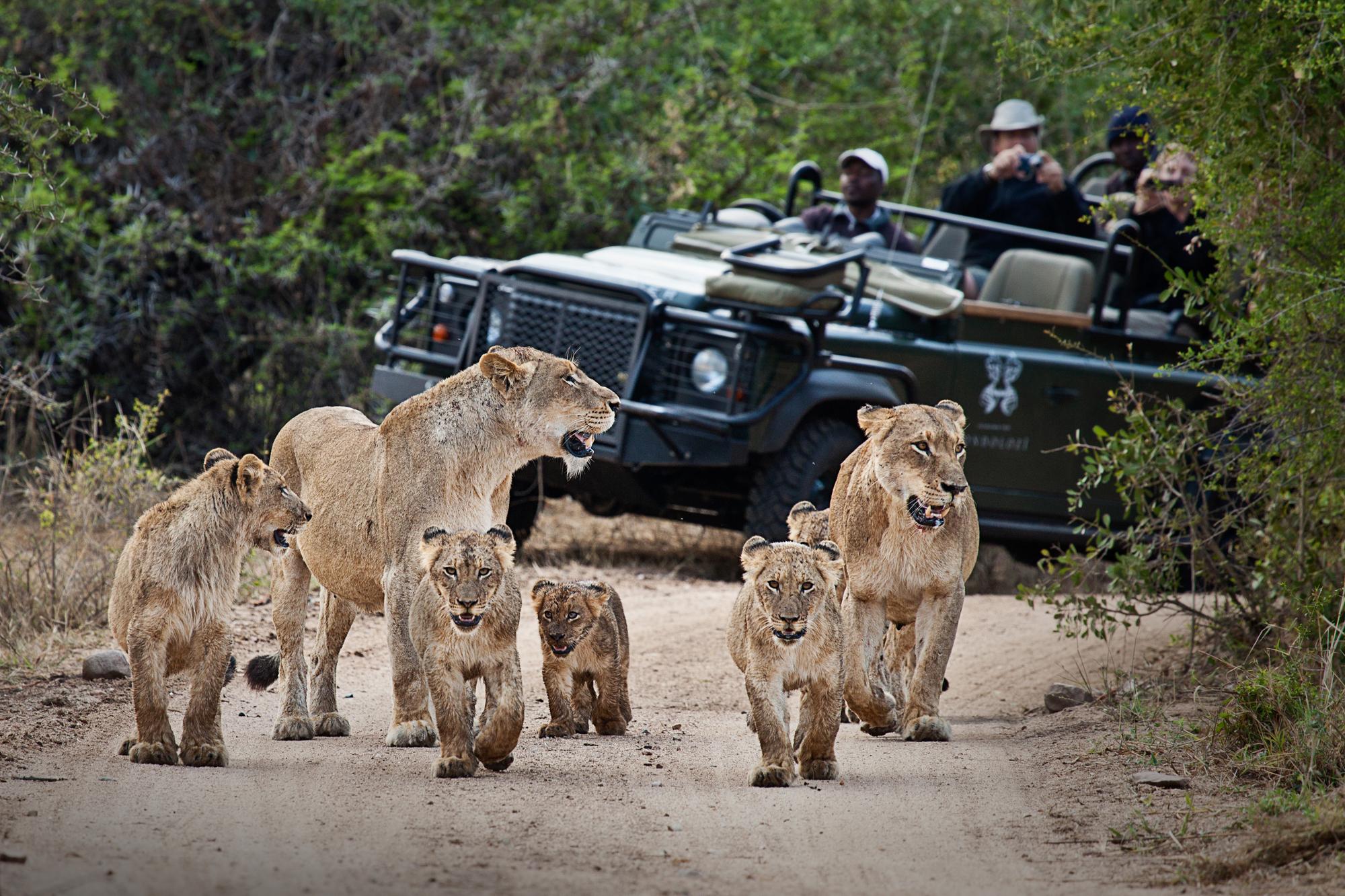 Explore All our Tours