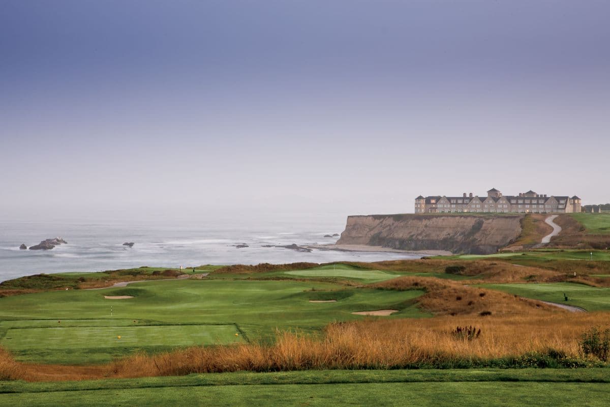 A coastal green surrounded by a mature rough
