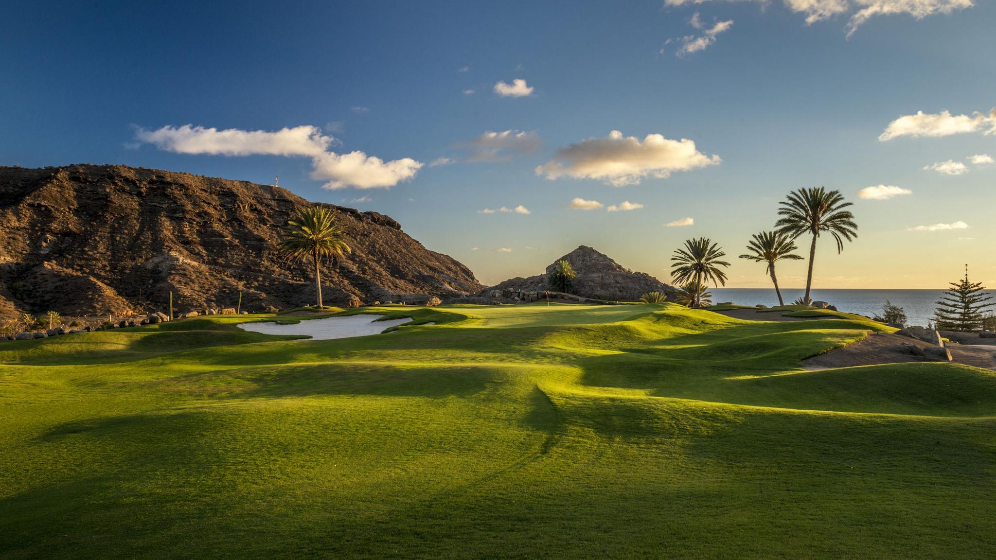 Undulating fairways with palm trees and cliffs around the outside