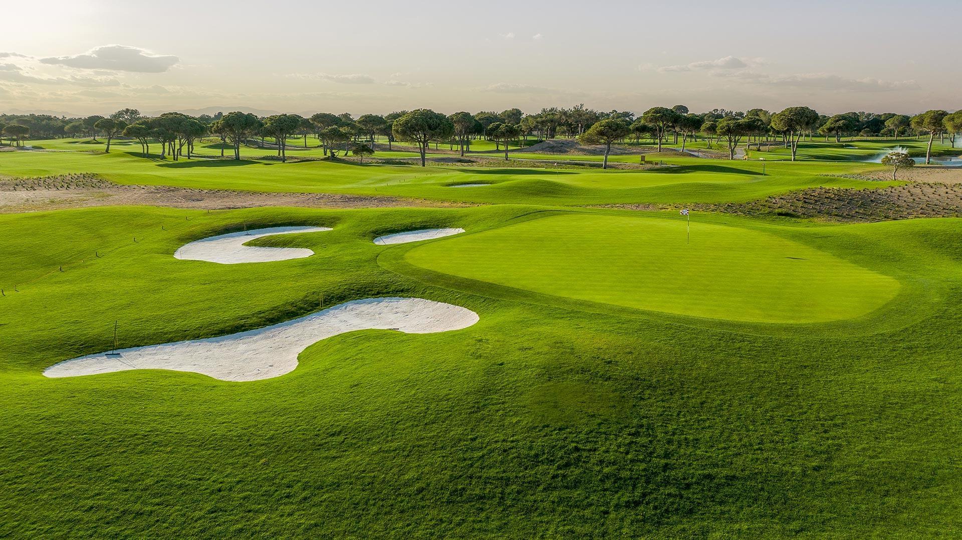 Undulating green with bunkers in front