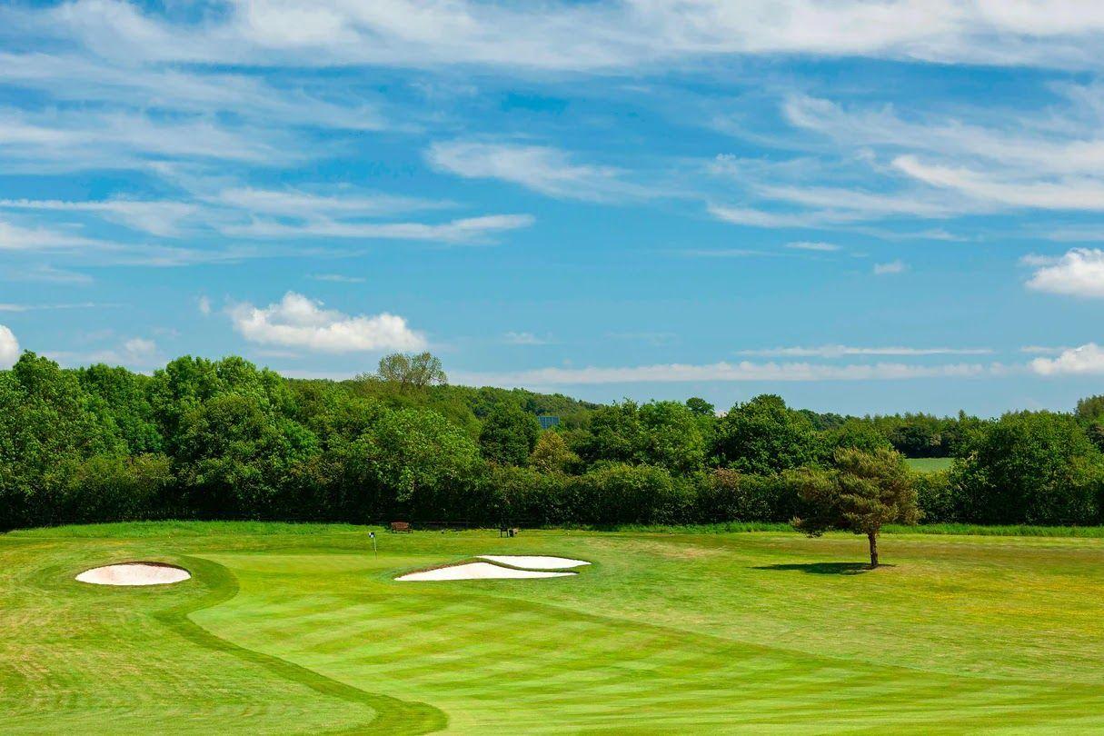 Rolling fairway with two sand bunkers and a single tree.
