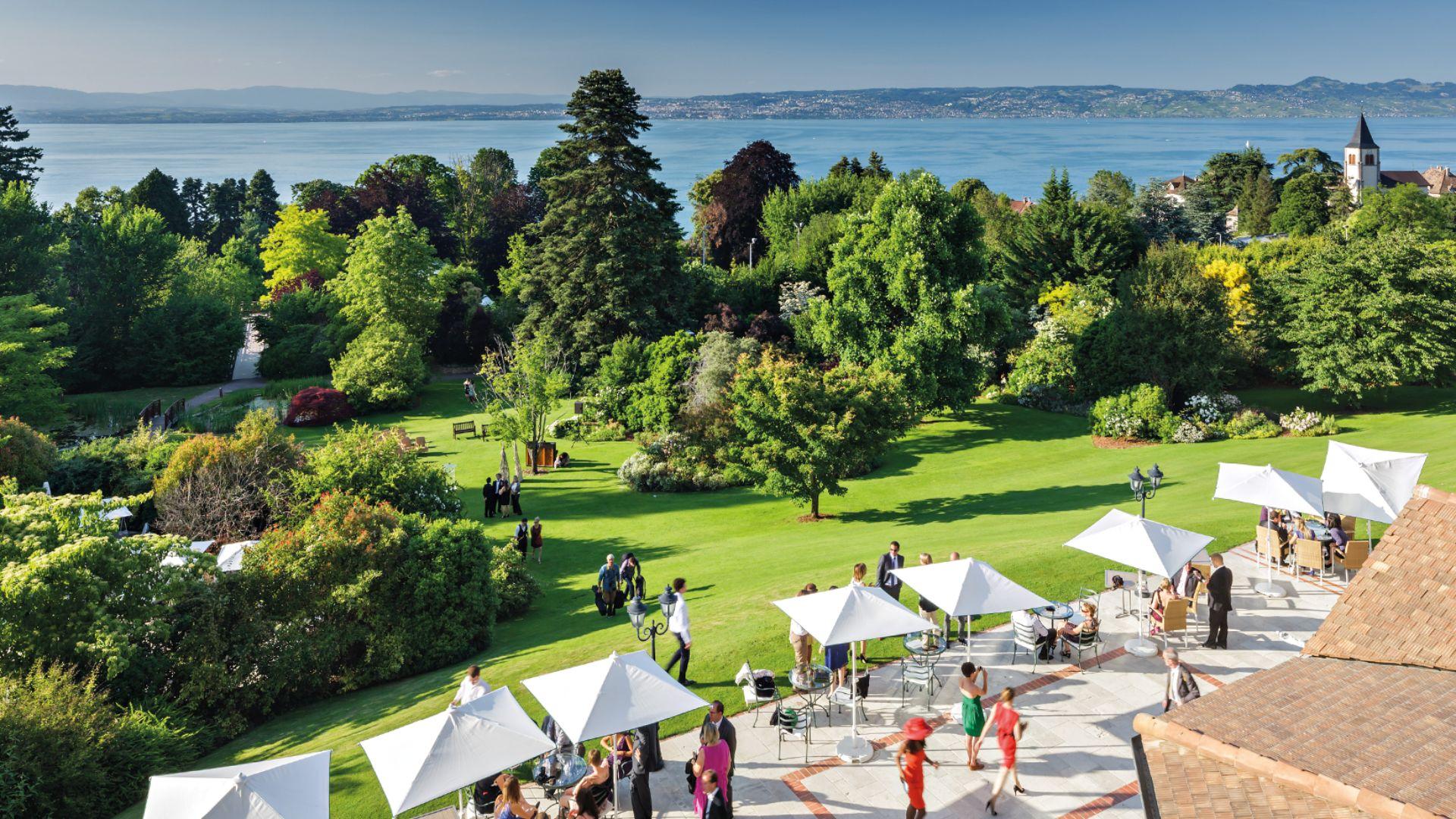 Aerial view of the garden area