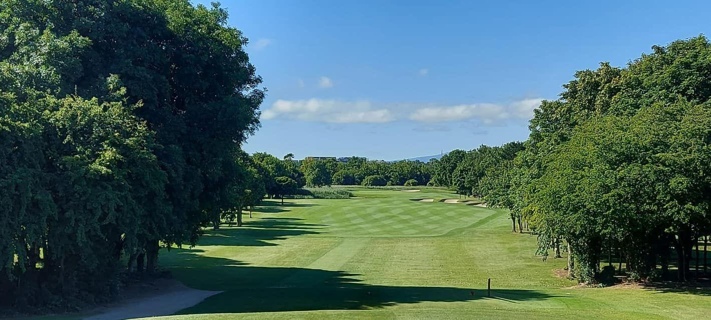 A tree-lined fairway stretches out under a clear blue sky, creating a serene golfing experience.