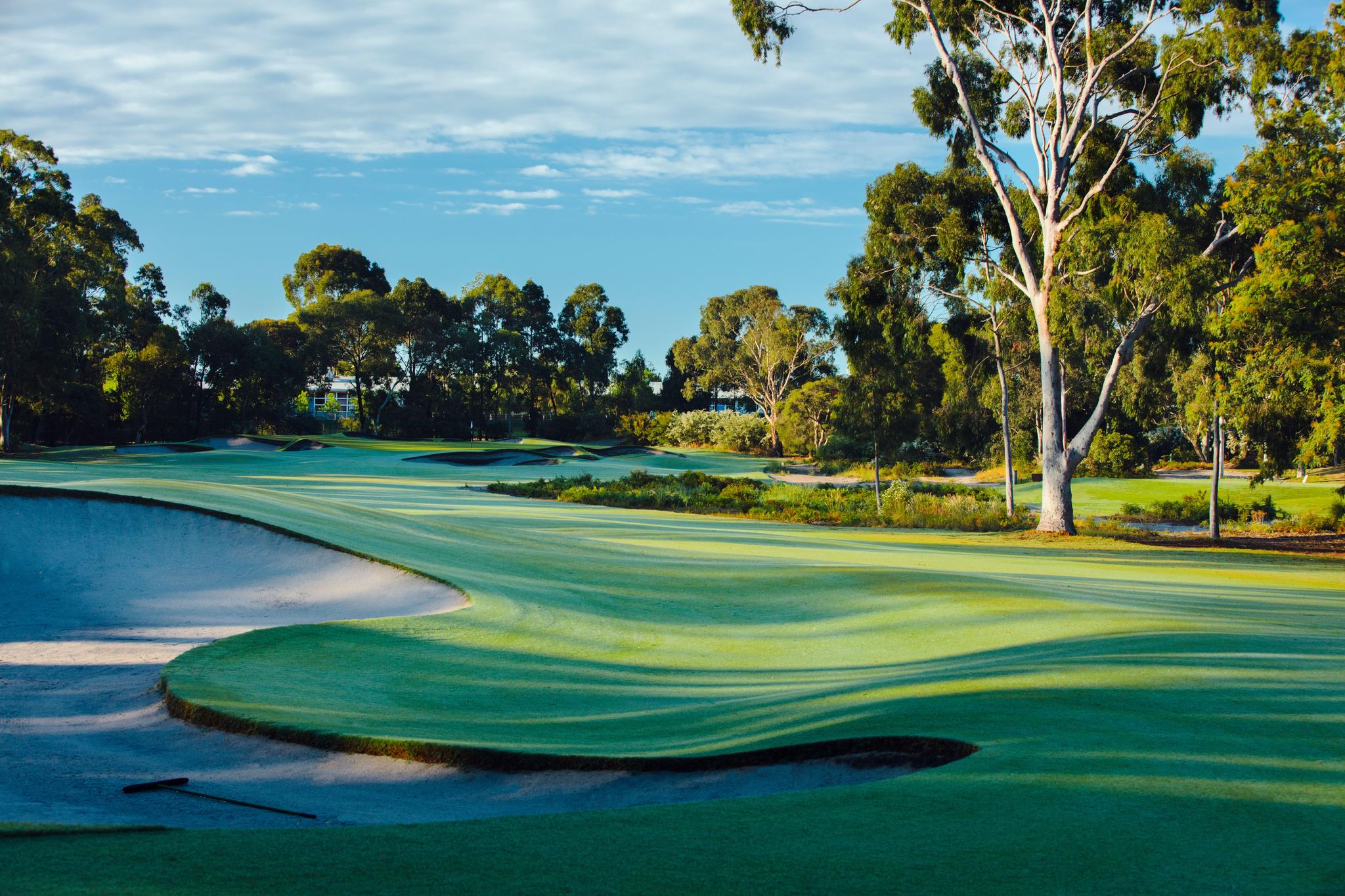 Rolling dunes and winding fairways at framed by forest trees at The Metropolitan Golf Club