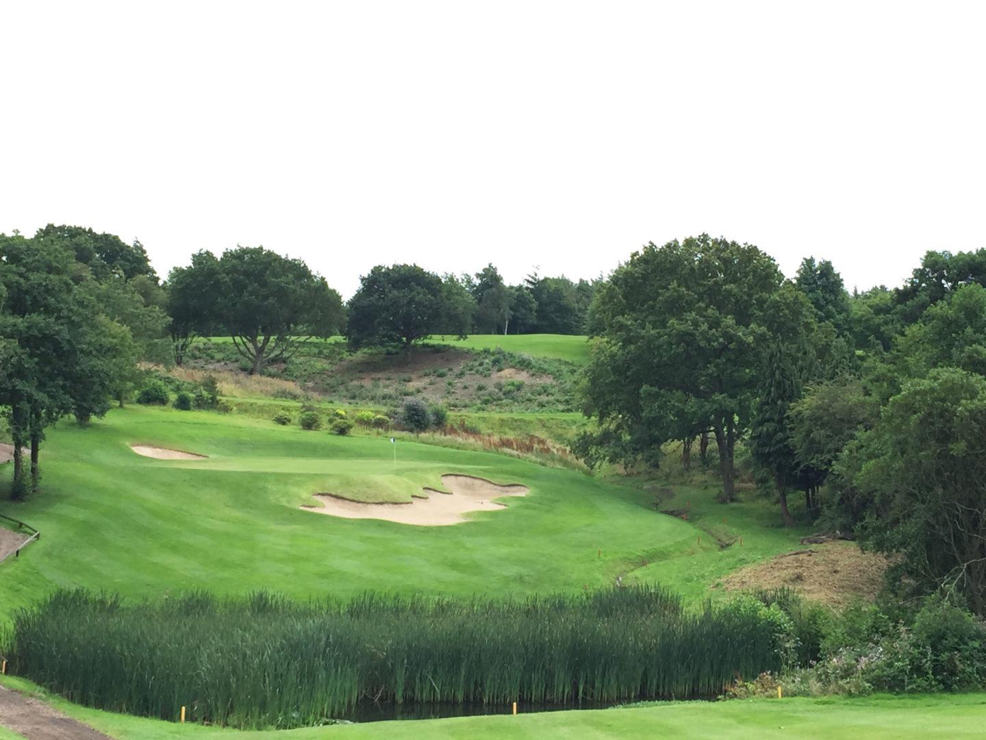 Green places strategically surrounded by uniquely shaped bunkers on the down-slope of a hill