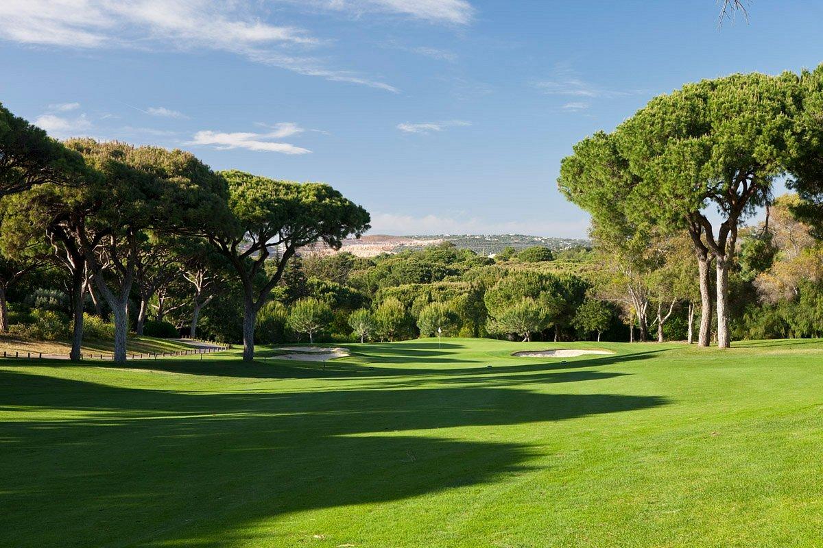 Tree-lined fairway leading to the green