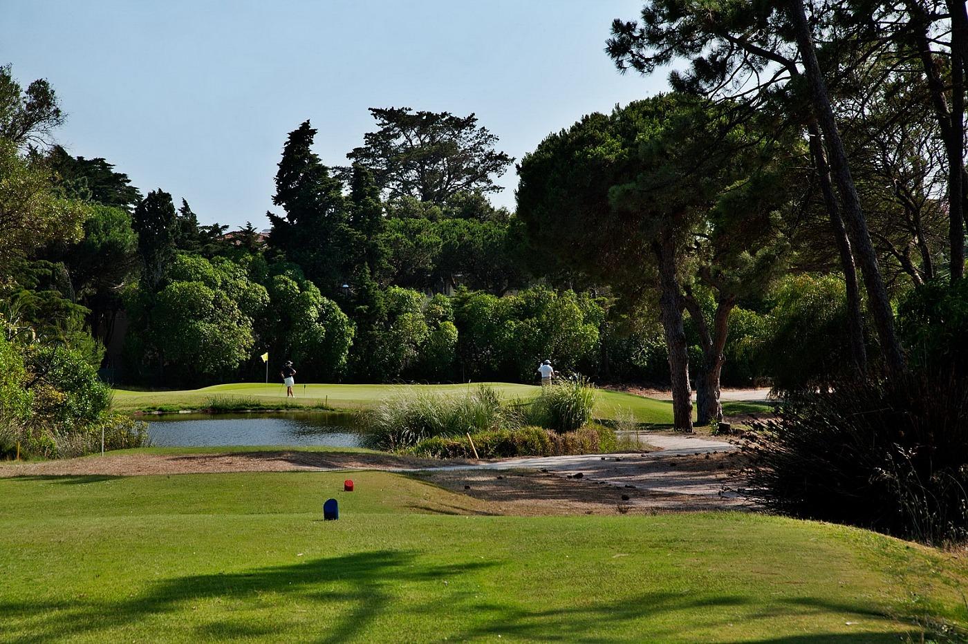 Tee shot over water to a Par 3 green