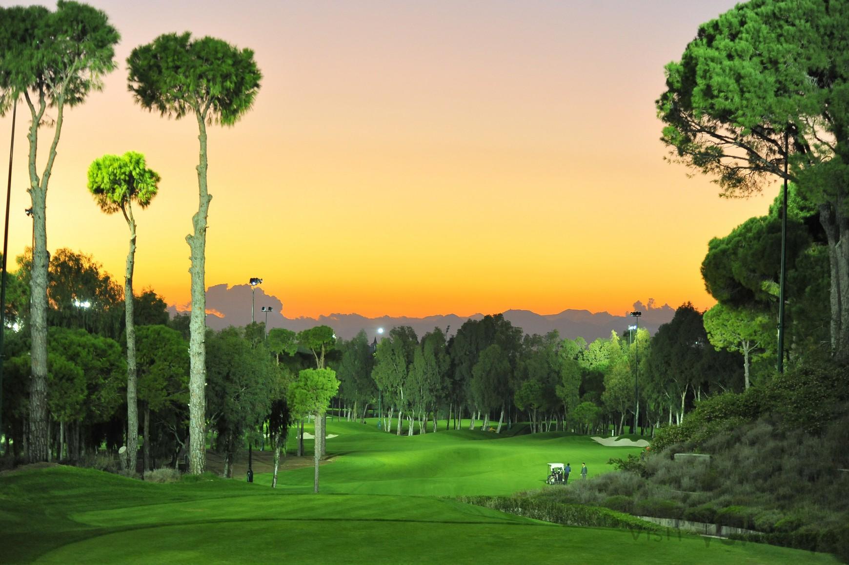 Nightgolf on a winding, tree-lined and undulating fairway