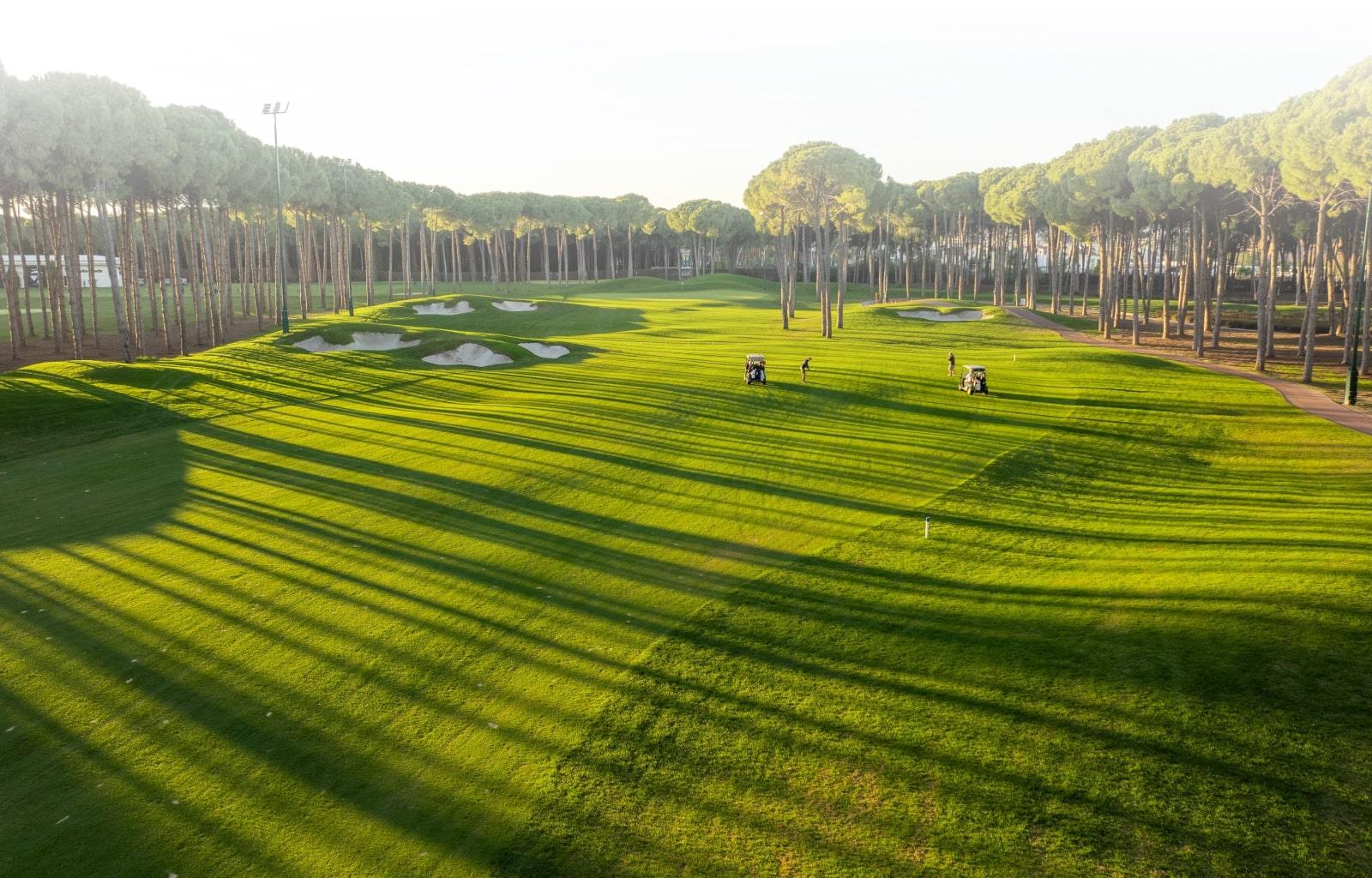 Tree lined fairway leading up to the green