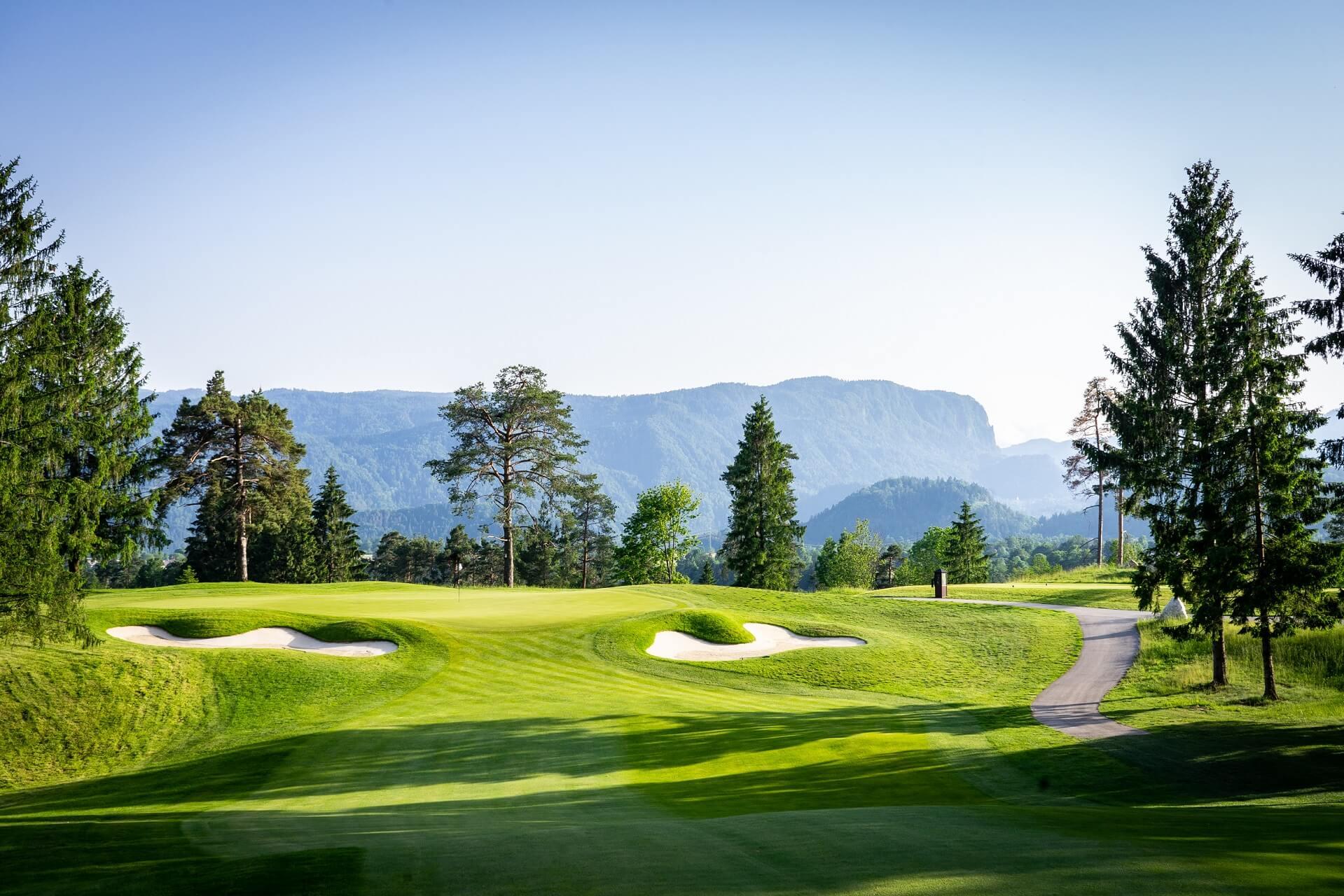 A green golf fairway framed by tall pine trees and mountains in the background.