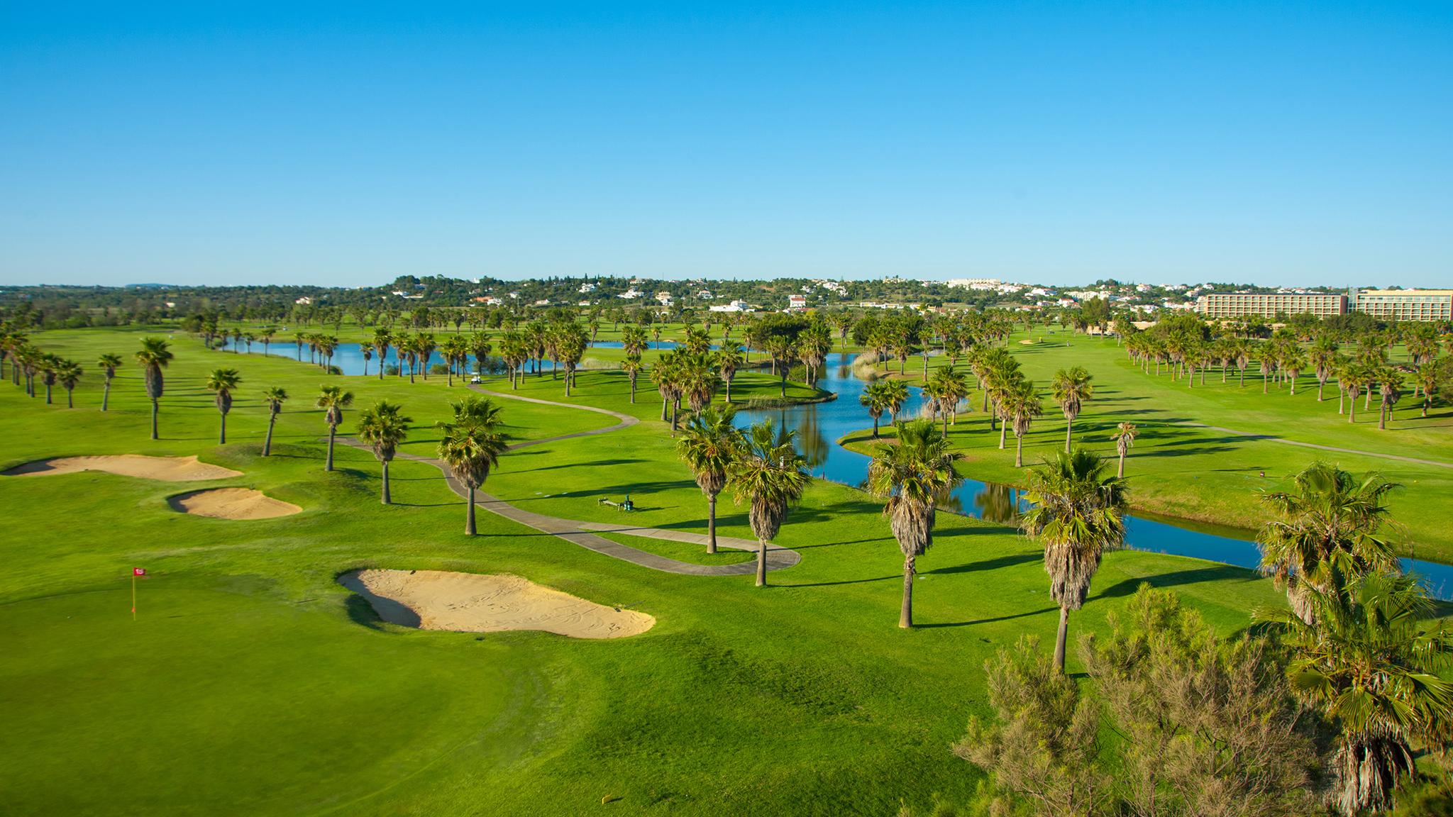 Palm trees lining fairways