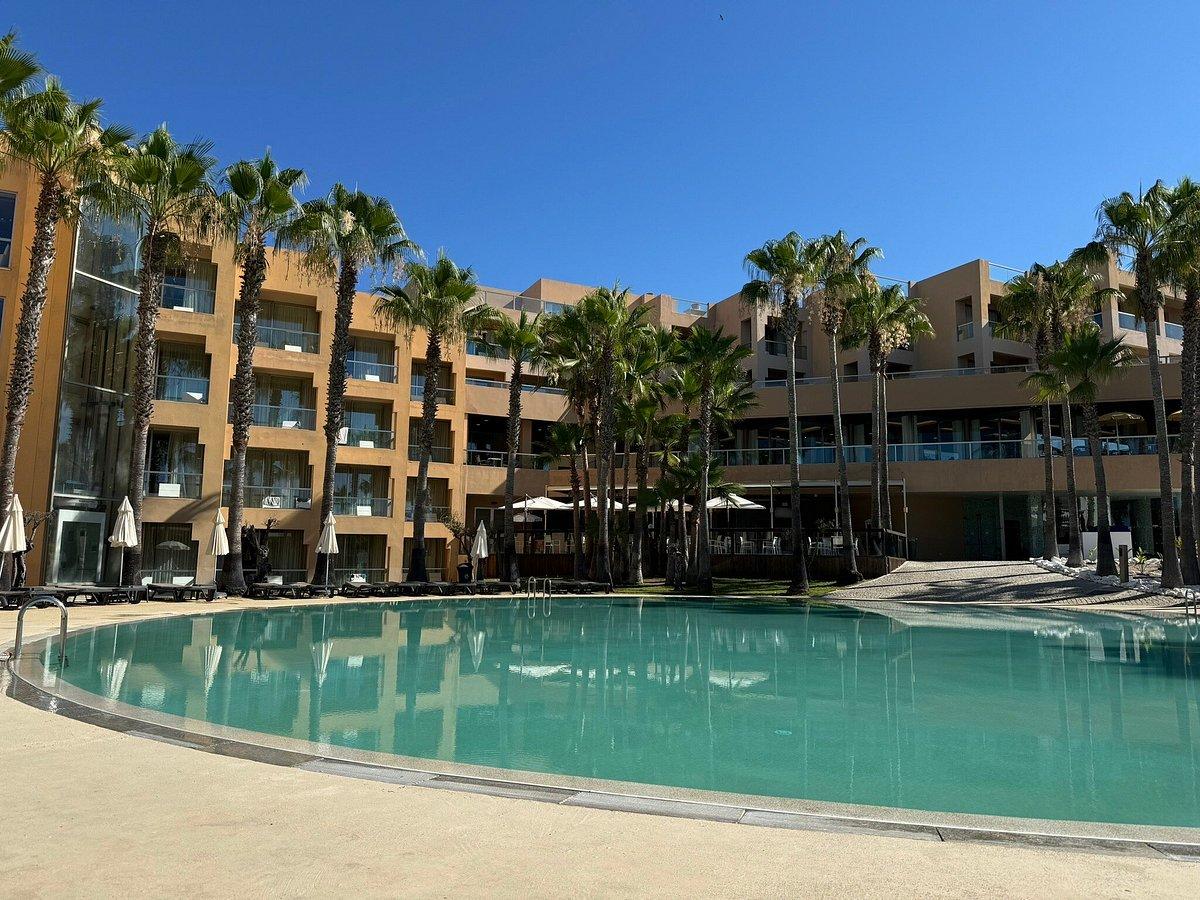 Outdoor swimming pool area with palm trees around