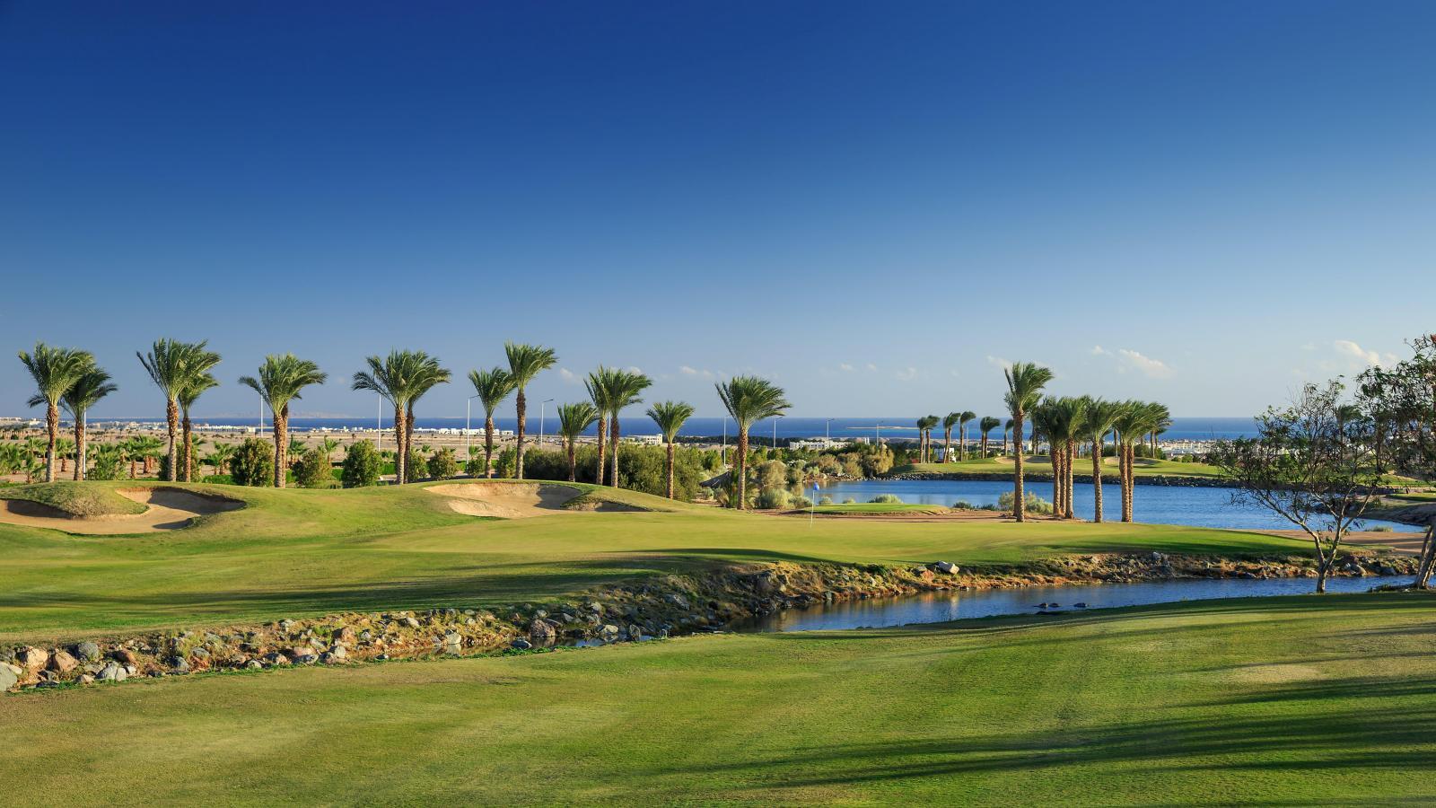 Panoramic view of a smooth green surrounded by palm trees and a water hazard