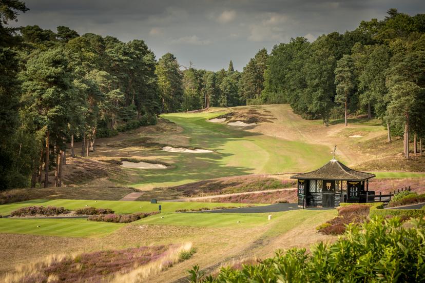 In the foreground, lays a charming, black, pavilion-like structure with a rustic roof on the course