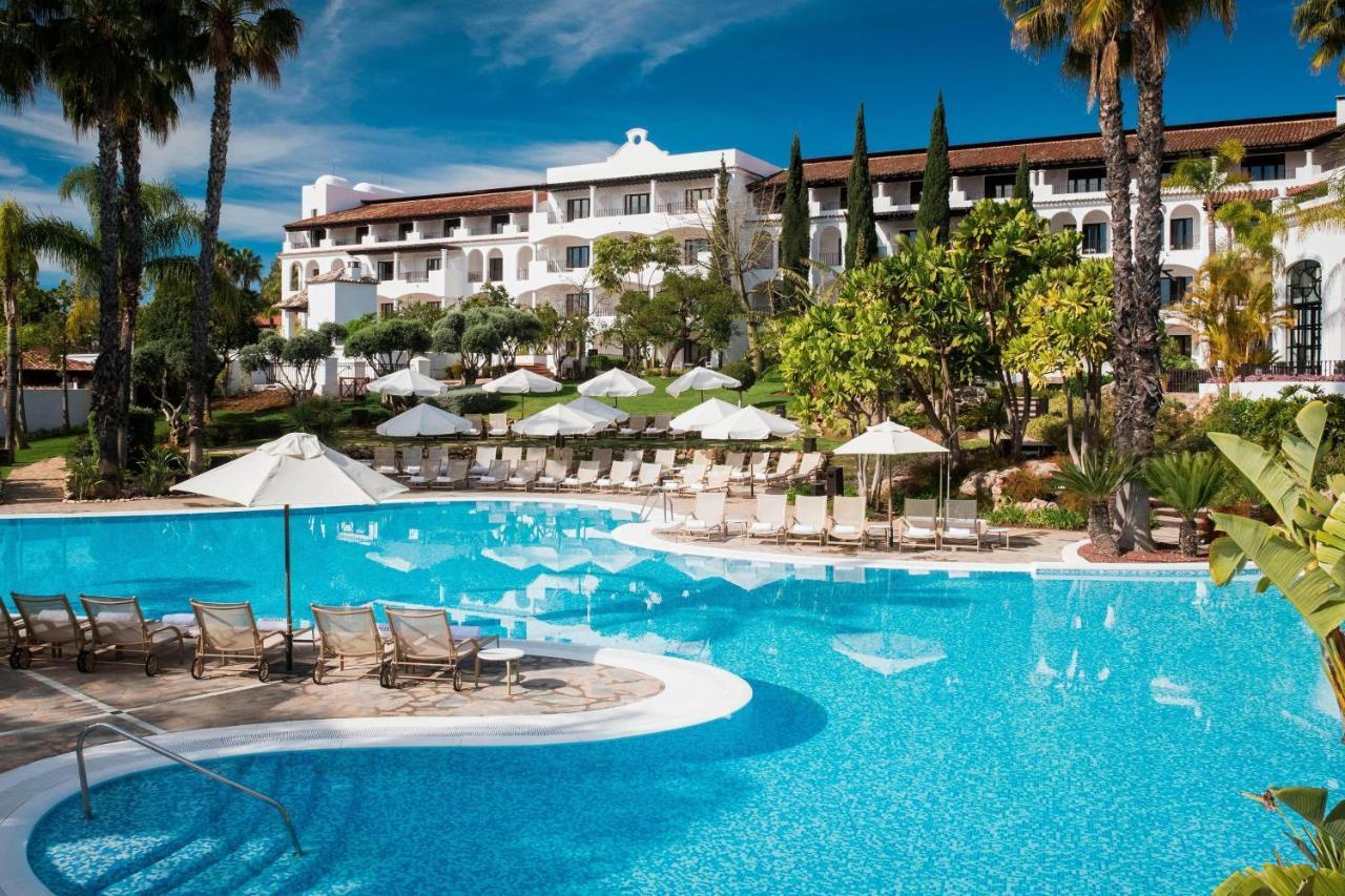 Outdoor swimming pool surrounded by sun loungers and palm trees