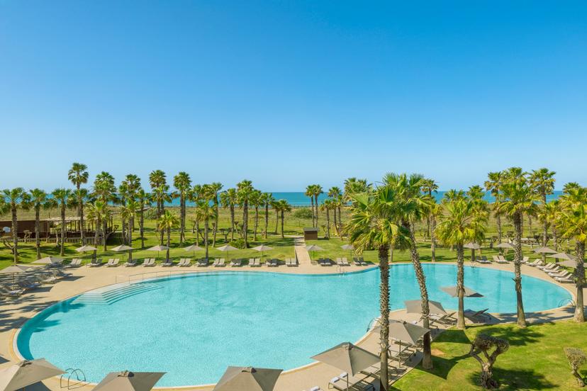 Outdoor swimming pool area with palm trees around it