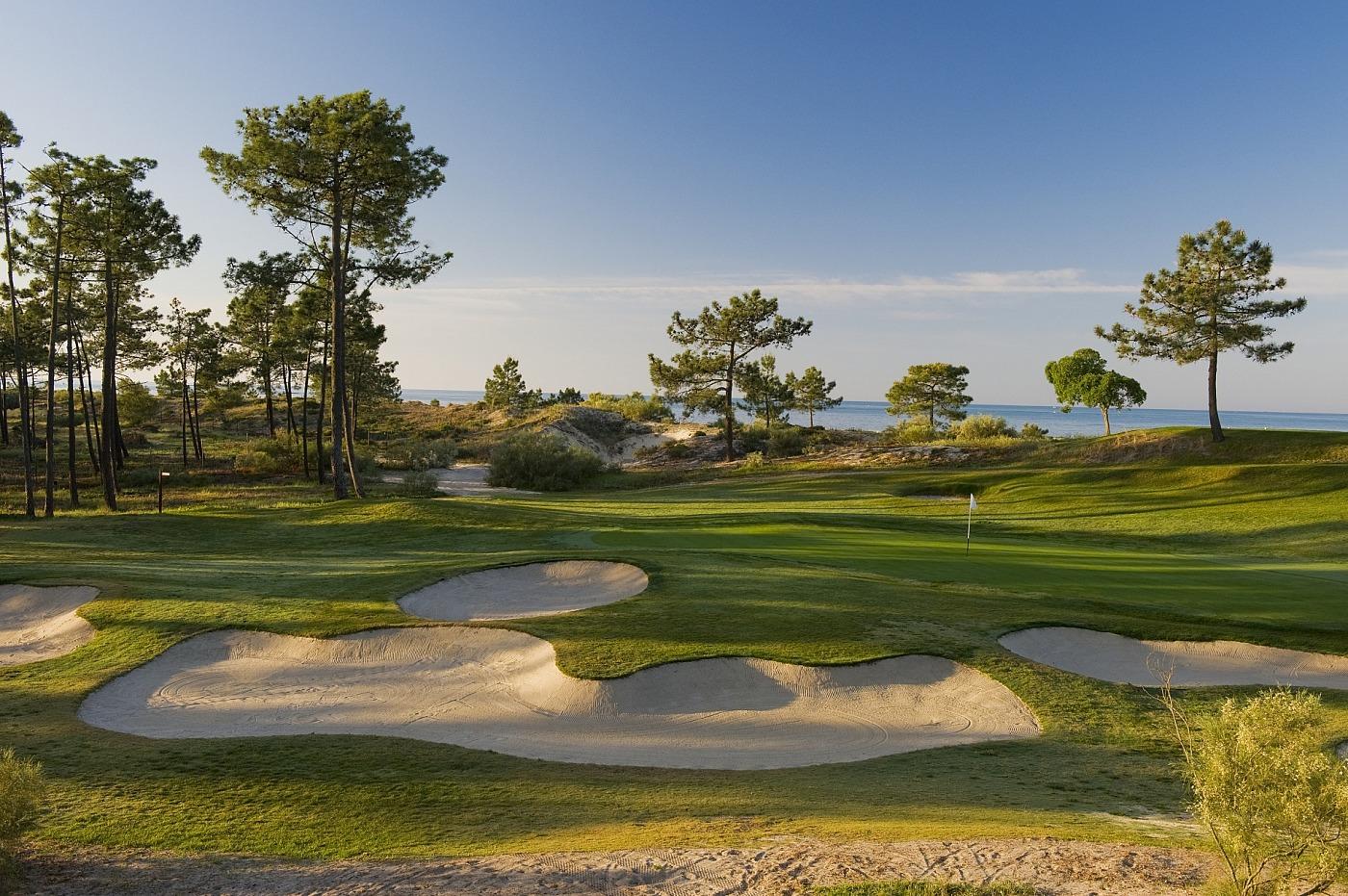 Green with bunkers around on a golf course
