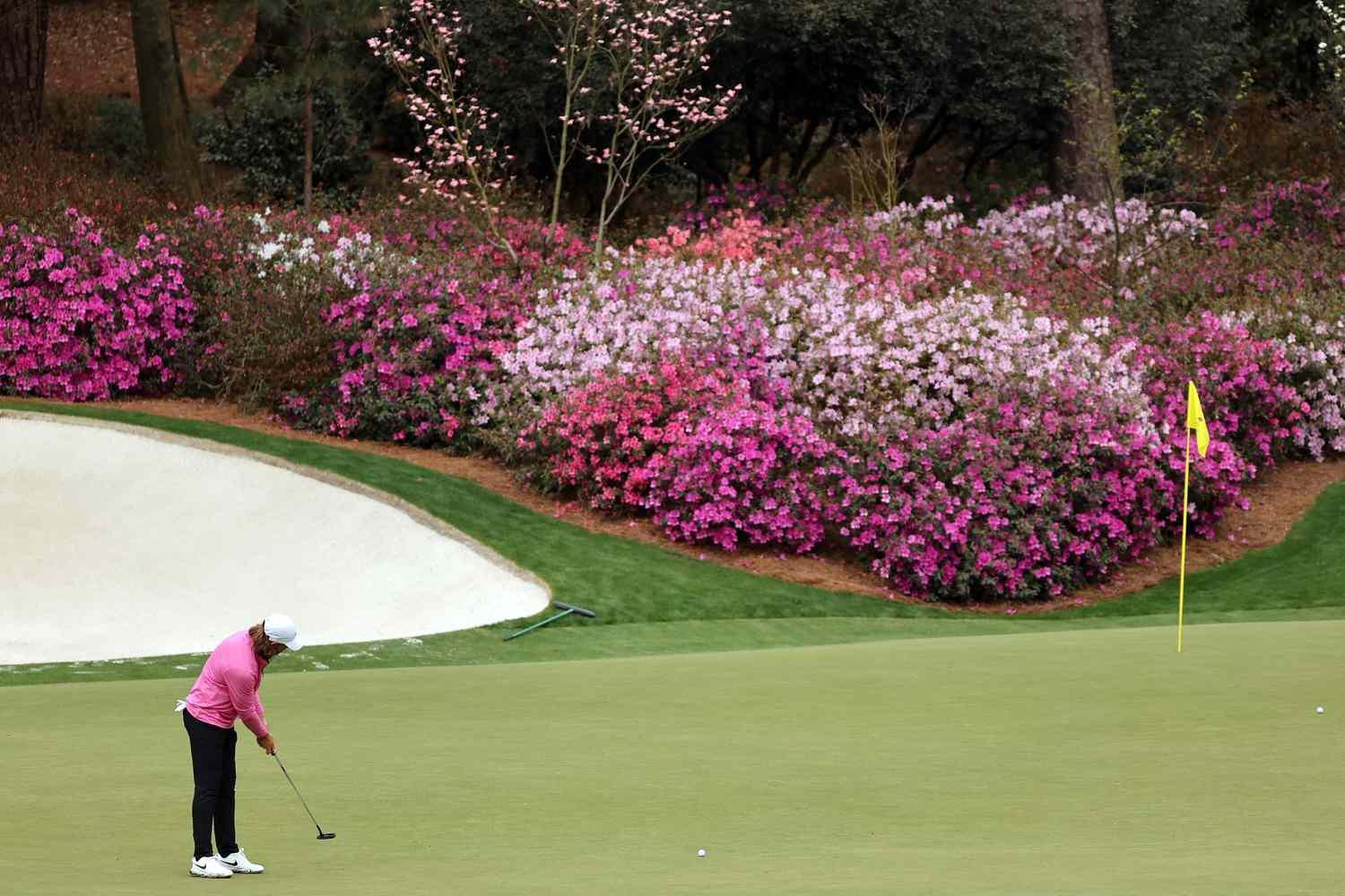 Player putting a long putt with azaelias in the background