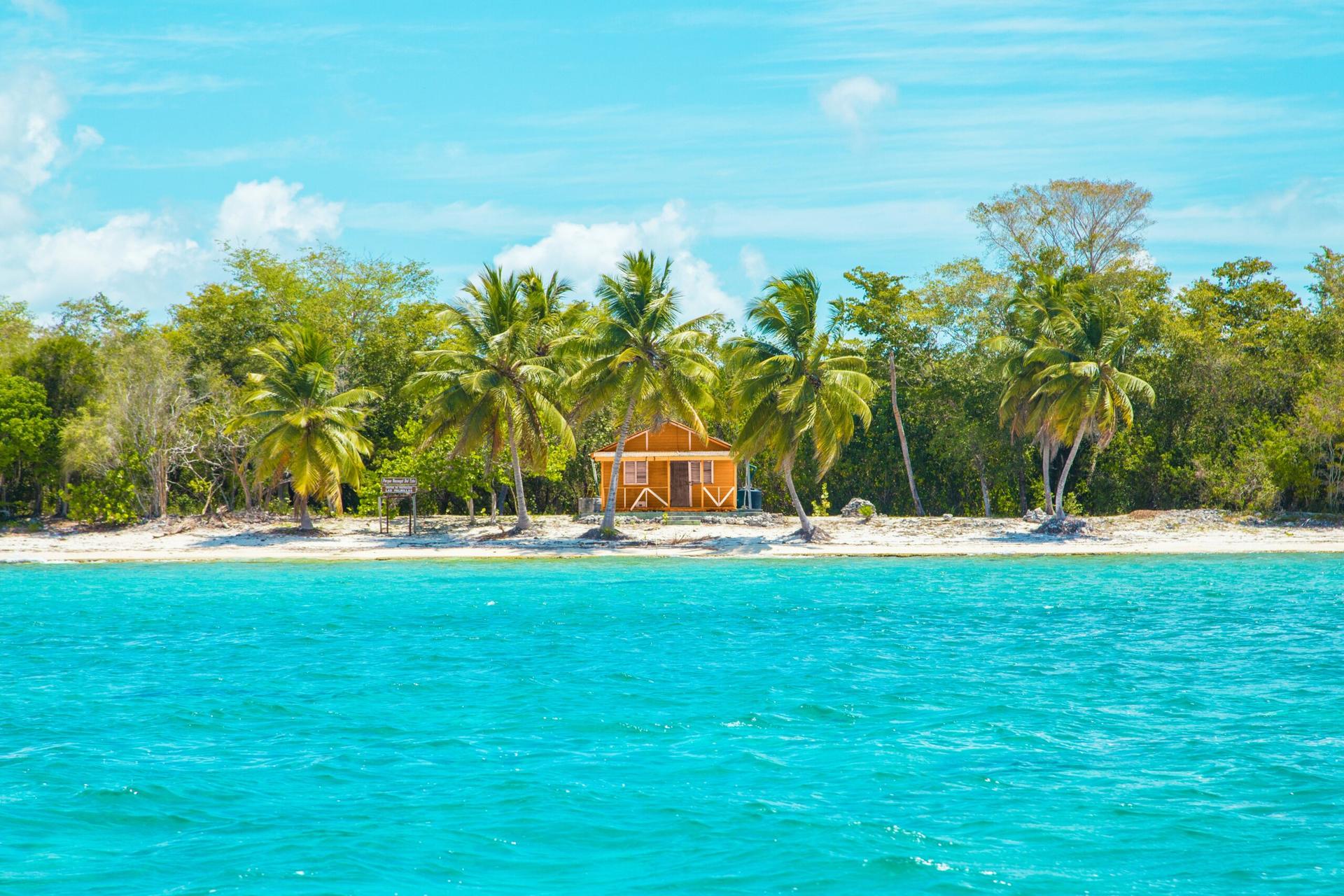 A sandy beach nestled with palm trees and clear blue water