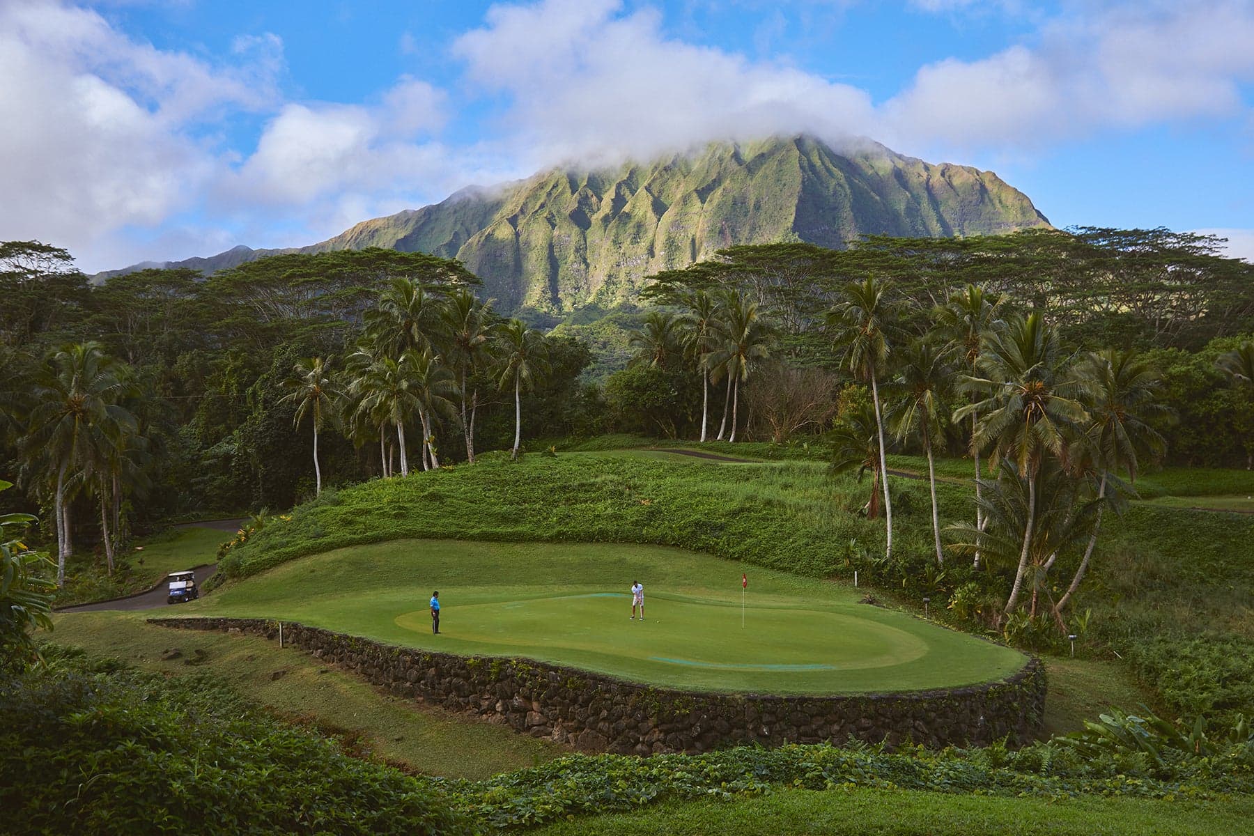 Green surrounded by trees and thick rough