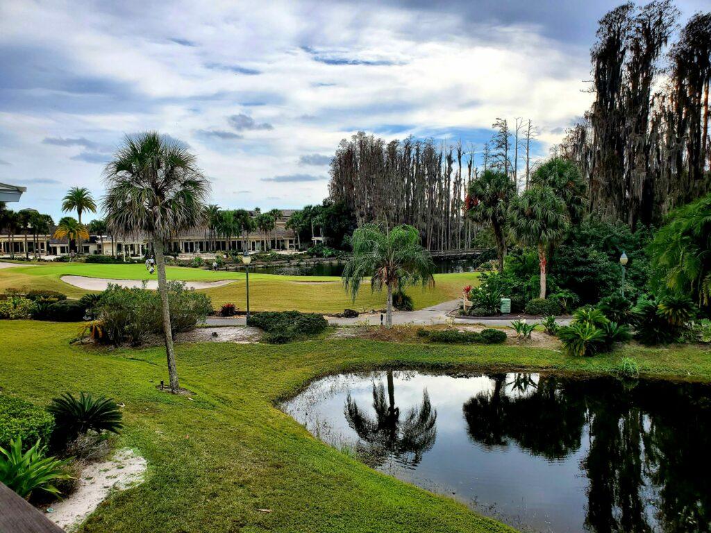 A serene water hazard reflecting surrounding trees on the saddlebrook resort golf course