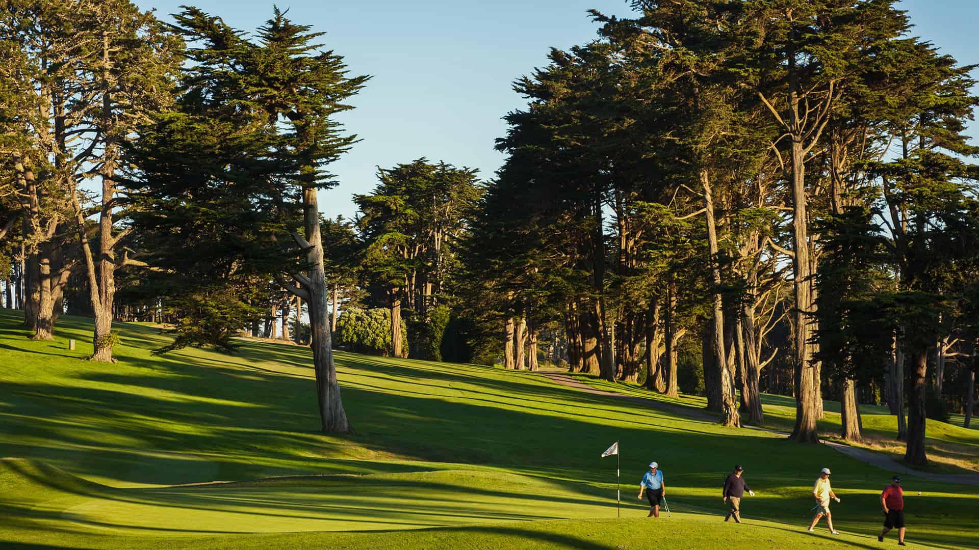 A downhill fairway leading to a smooth green