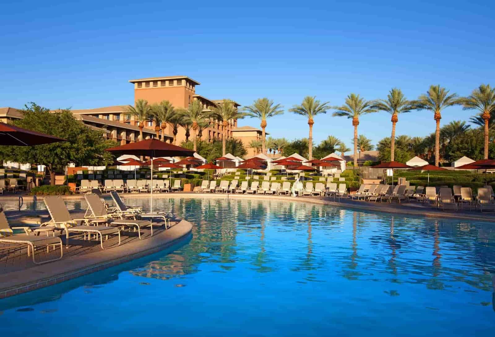 An outdoor swimming pool surrounded by sun beds and palm trees