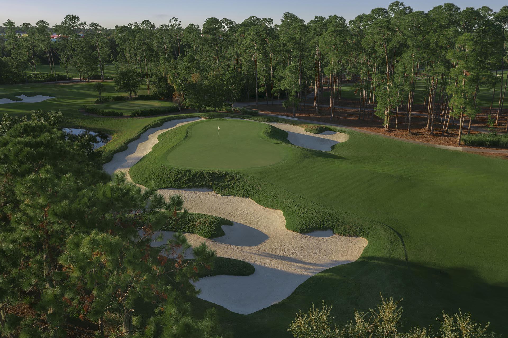 An elevated green surrounded by sand bunkers