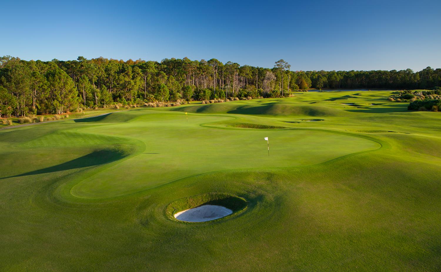 Rolling fairways and smooth greens stretch out against a clear blue sky with scattered trees on the horizon.