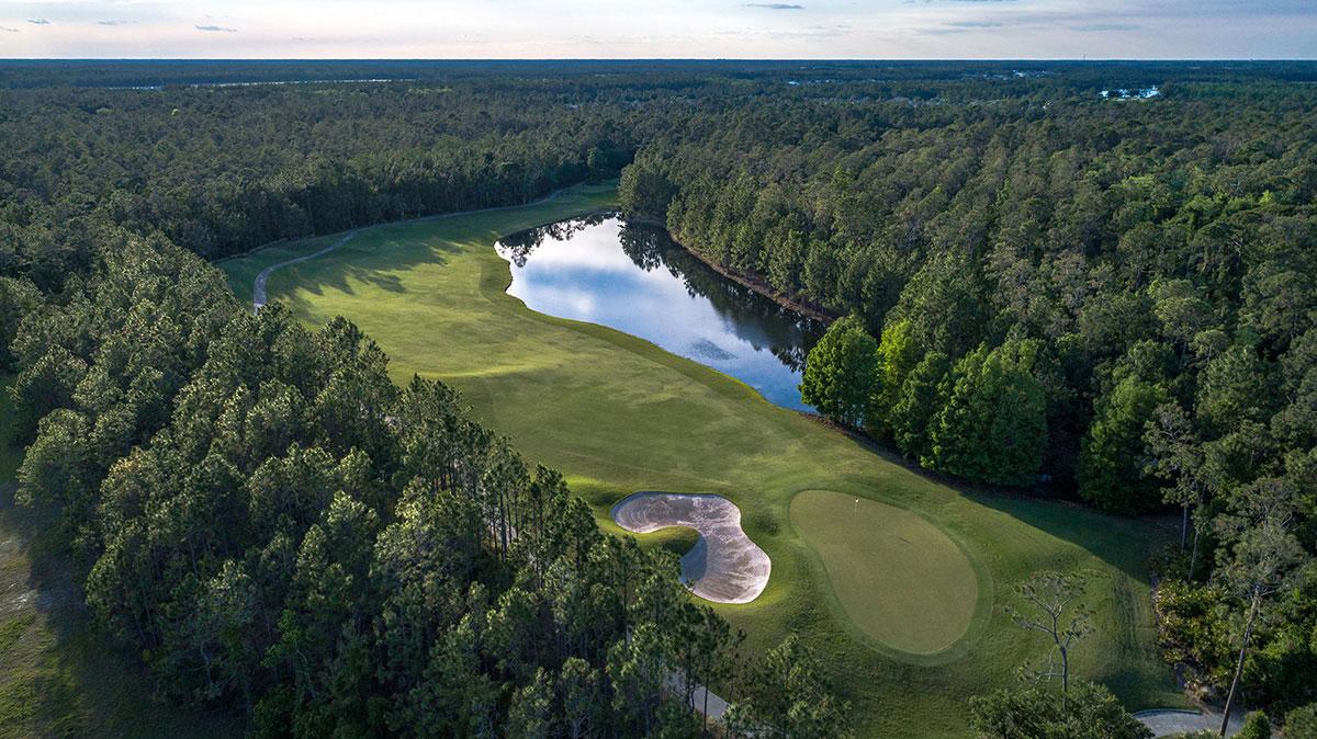A scenic aerial shot highlighting a green surrounded by dense forest and a reflective water hazard.