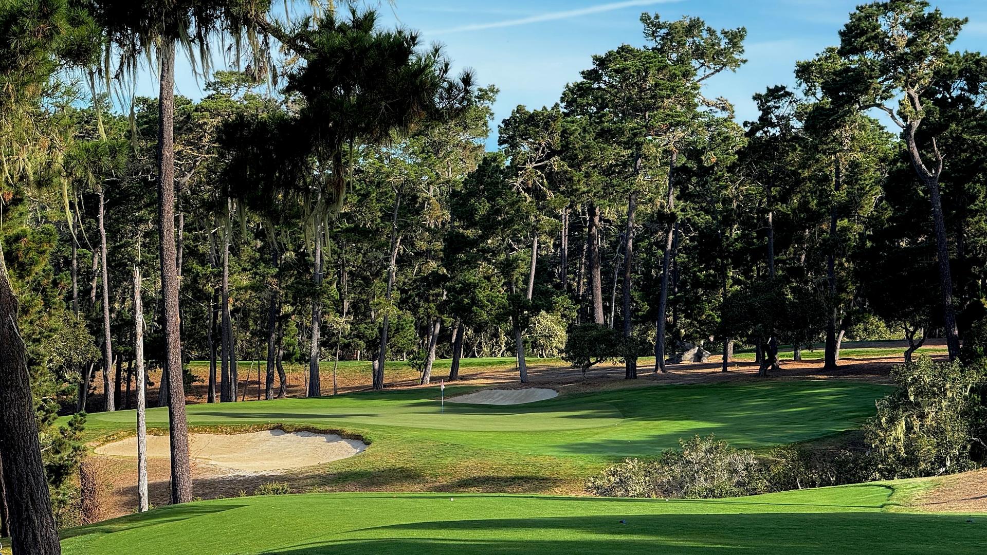 A well maintained green surrounded by sand bunkers and trees