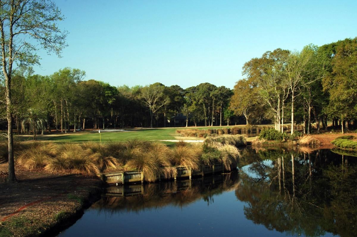 A golf green sits beside a reflective pond and tall grasses.