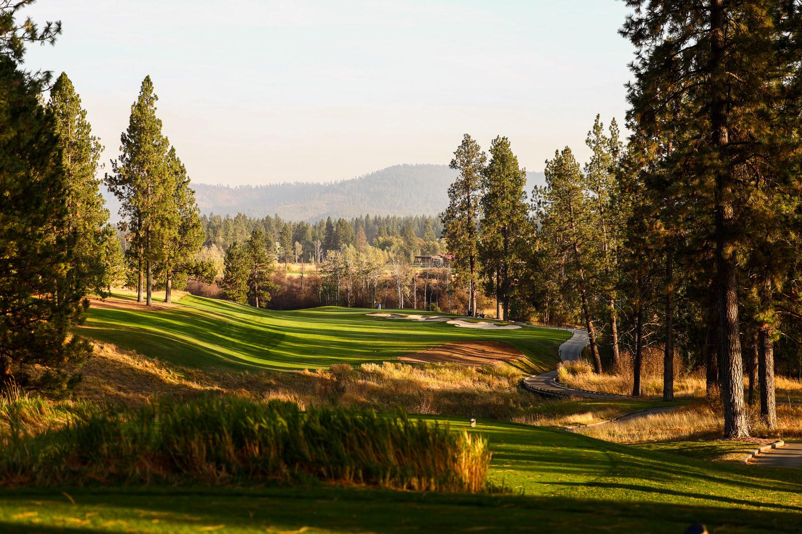 Panoramic view of a well maintained fairway lined with trees