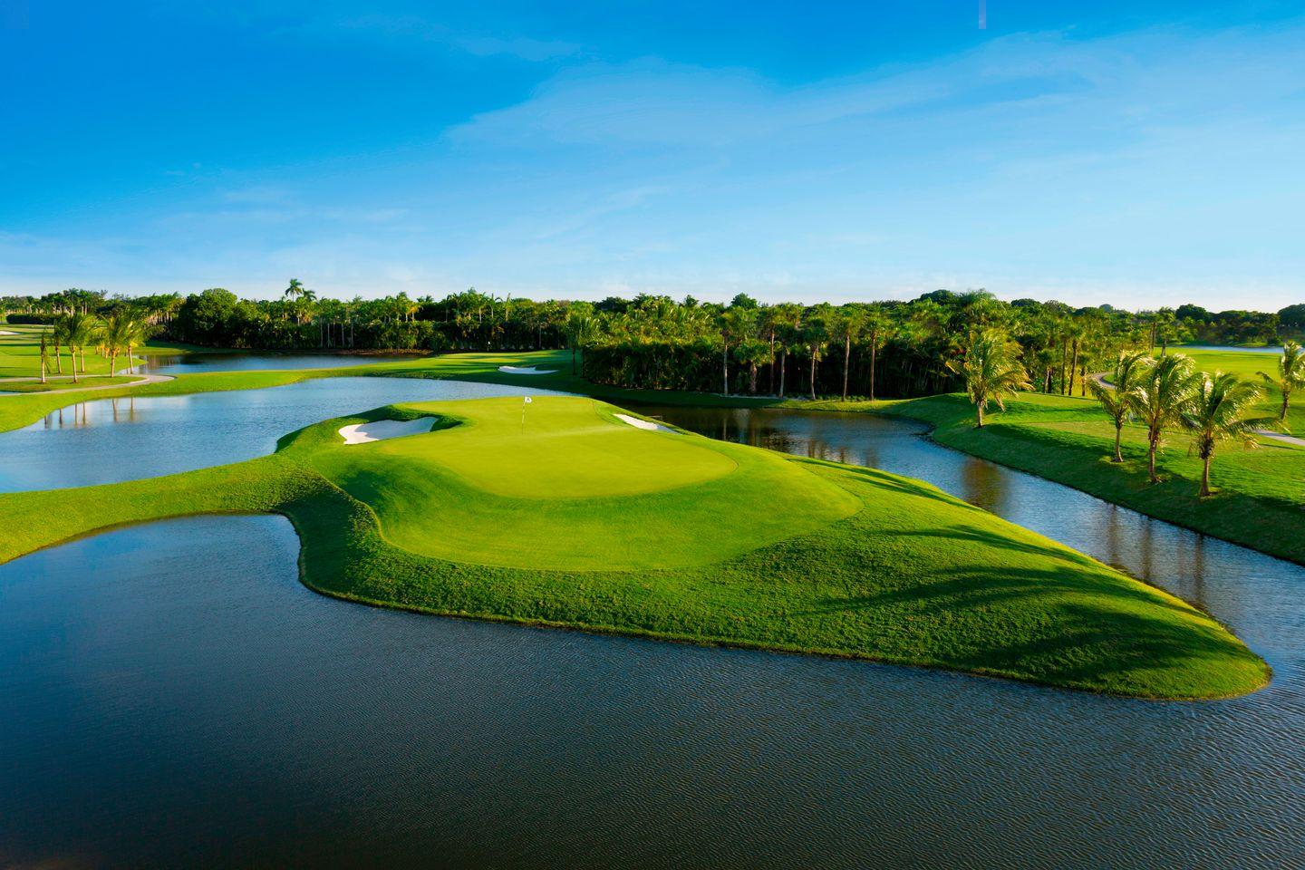 A striking island green surrounded by calm blue water and lush palm trees under a clear sky.