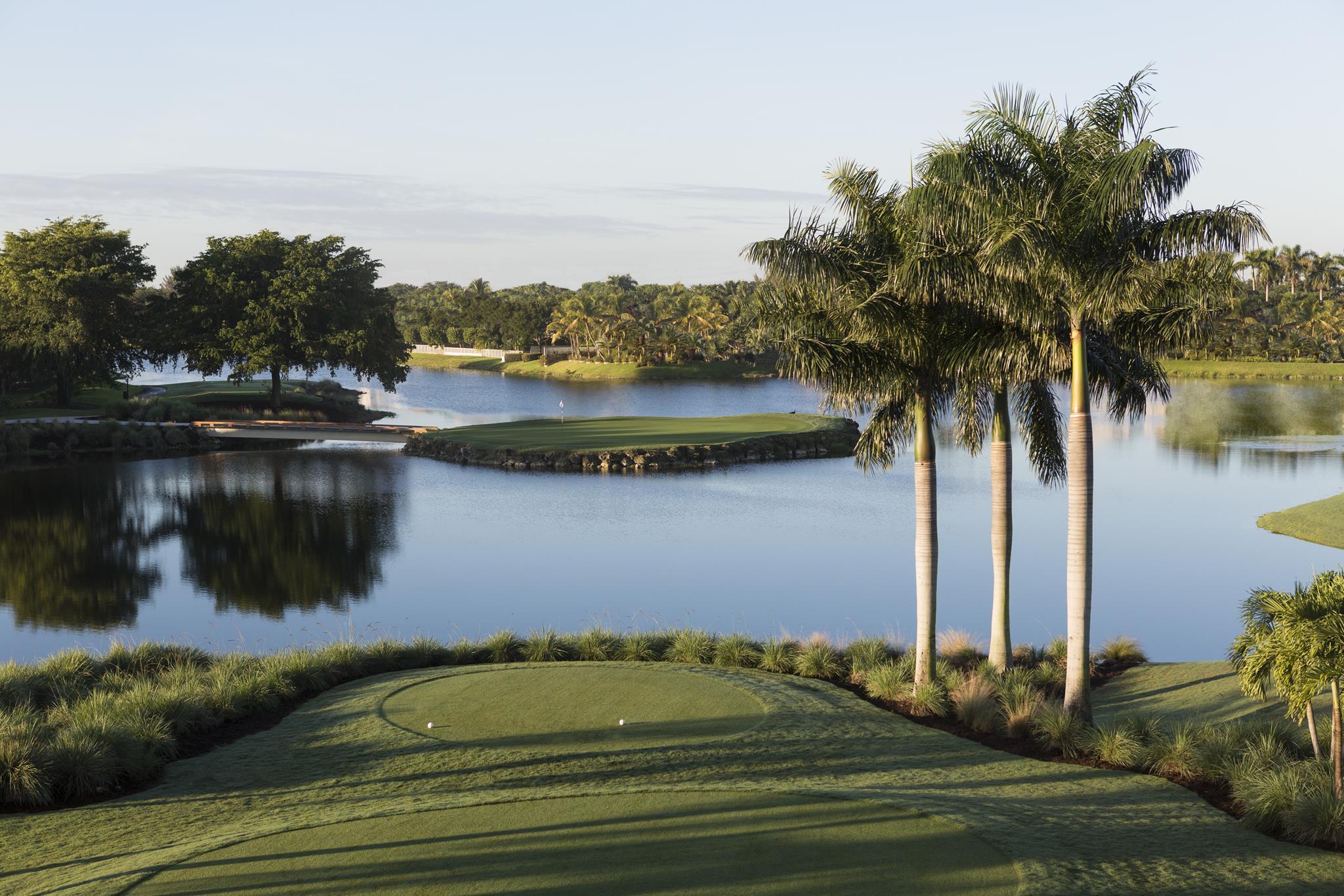 An island green surrounded by water with a bridge to navigate the course