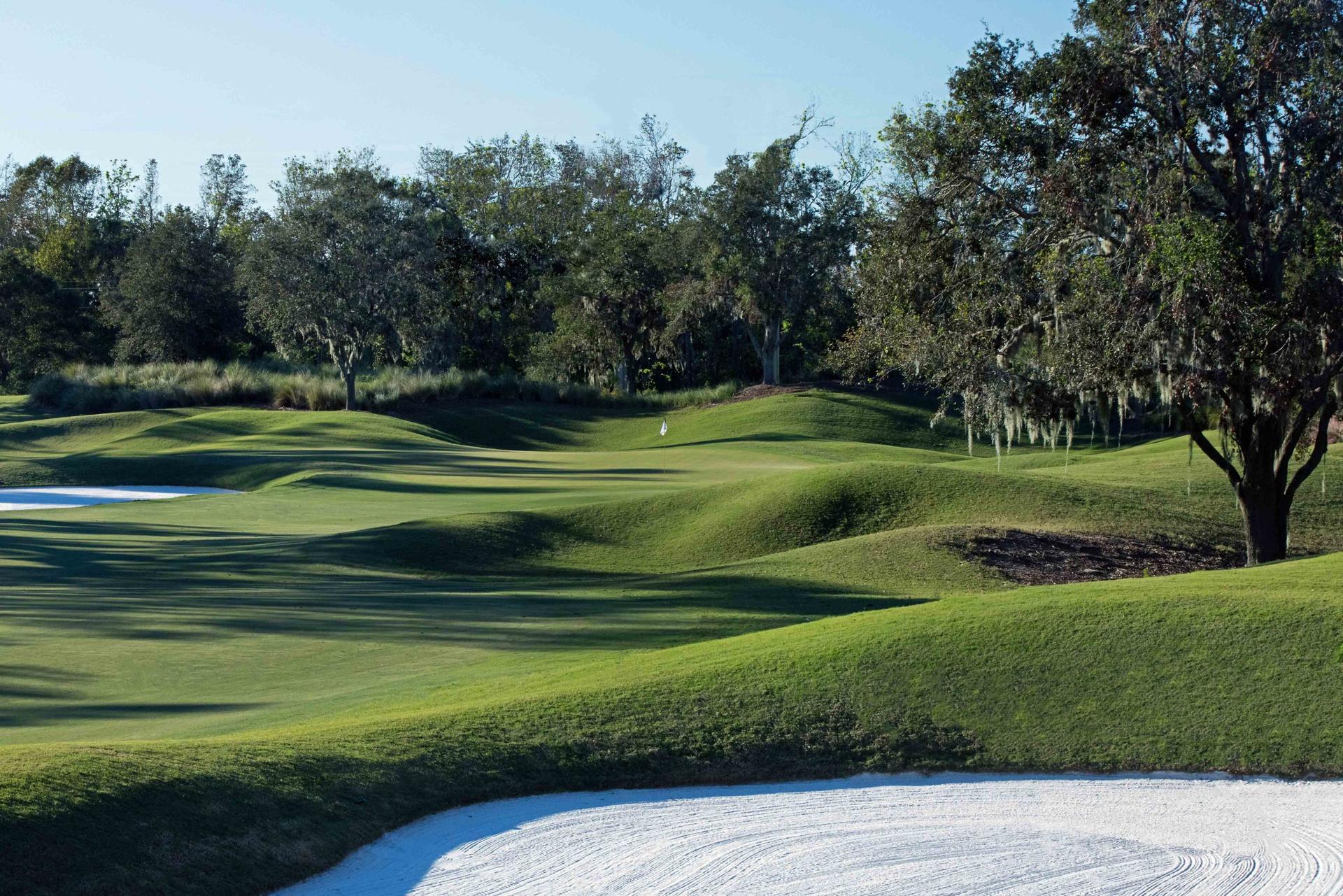 Rolling natural dunes nestled with sand bunkers at the TPC Sawgrass course