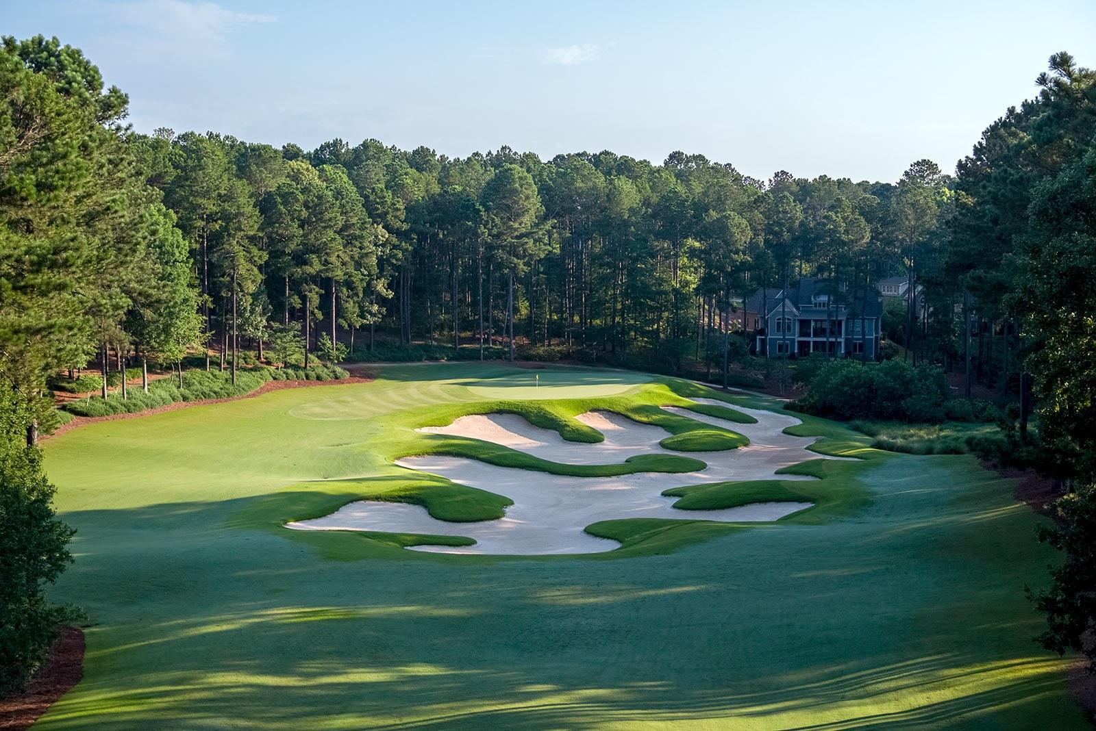 A large winding sand bunker placed next to a smooth green surrounded by towering trees