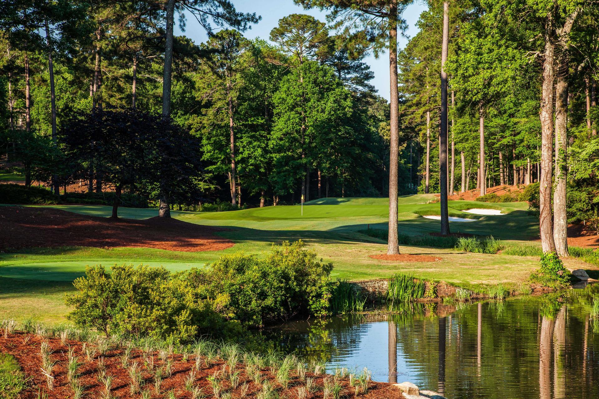 Smooth green nestled between tall trees at The Preserve Course