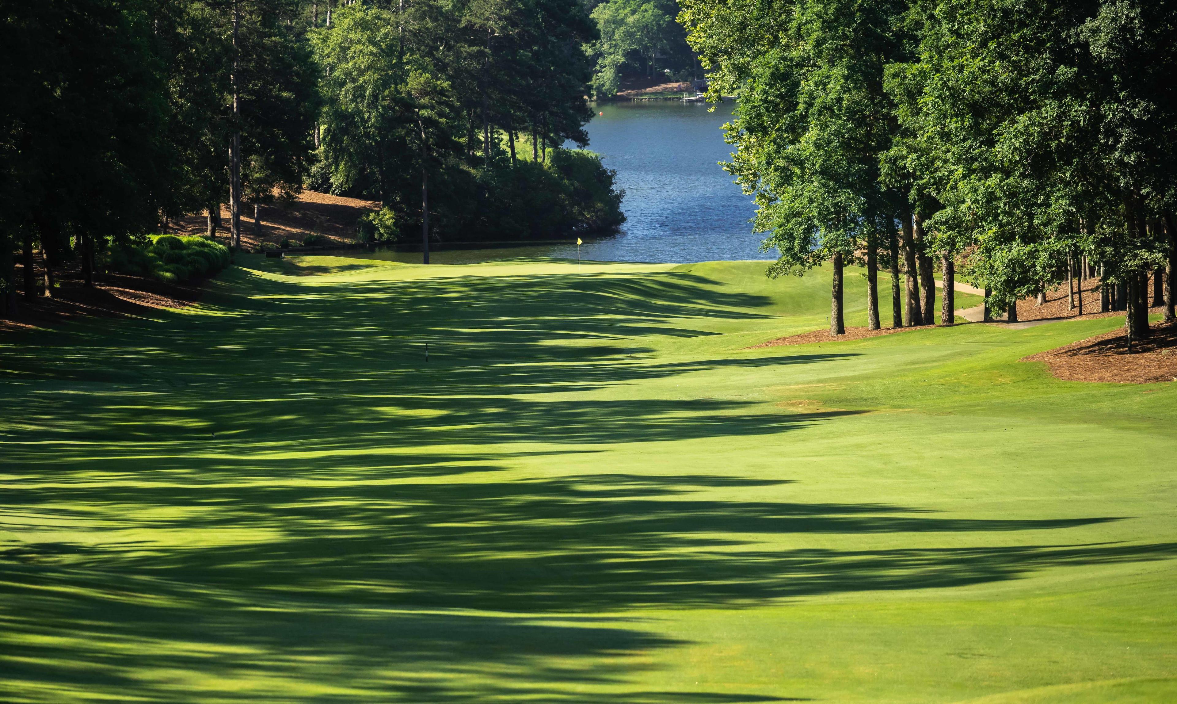 A well maintained downhill green with a manicured green at the end just before a water hazard