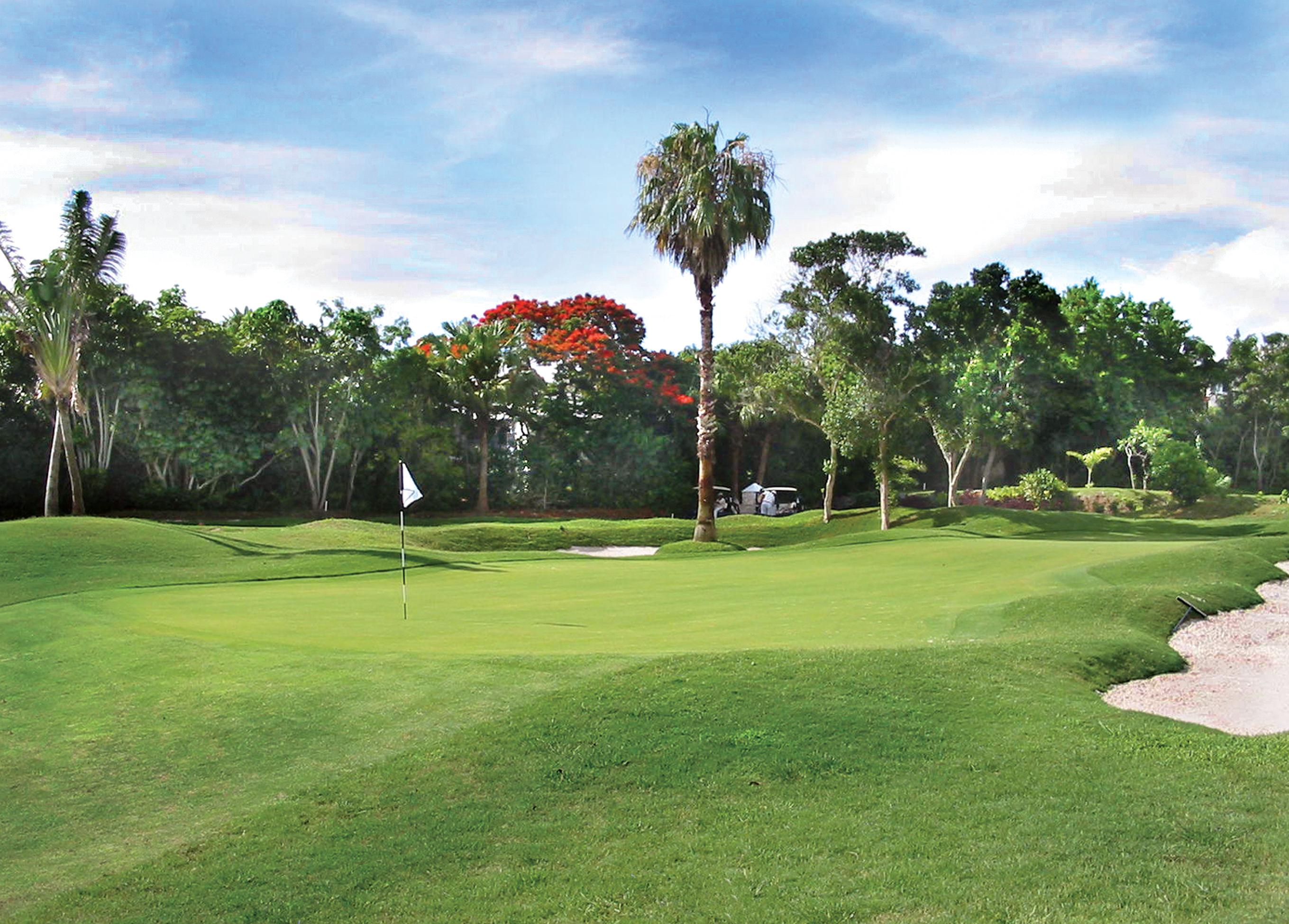 A pristine green surrounded by palm trees and sand bunkers under a bright blue sky.
