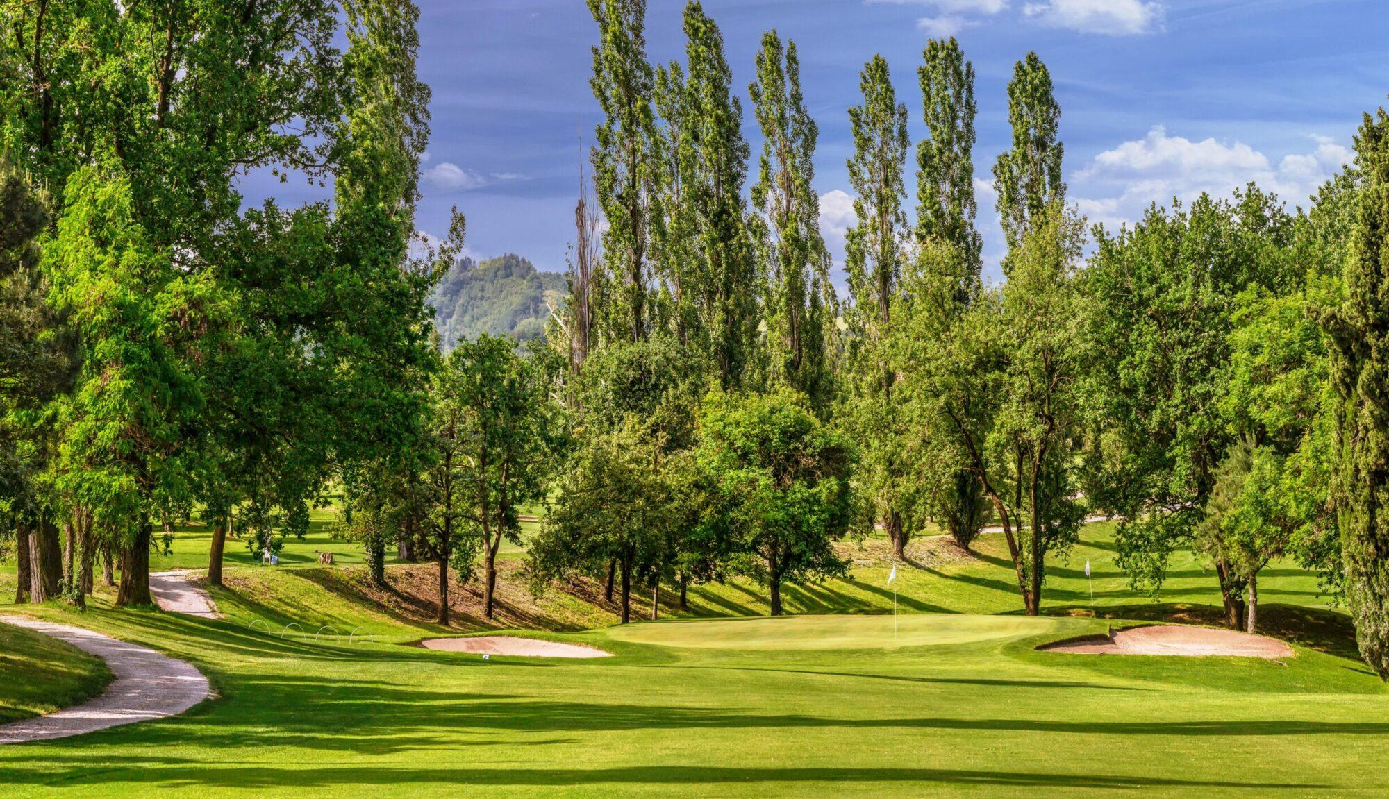 A wide golf fairway framed by tall, slender trees and rolling greenery.