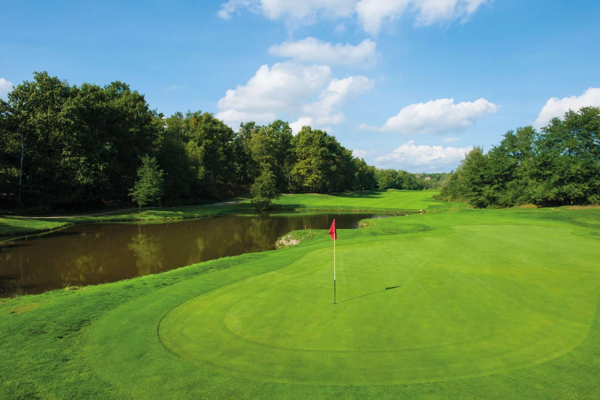 A serene golf green near a calm pond surrounded by trees.
