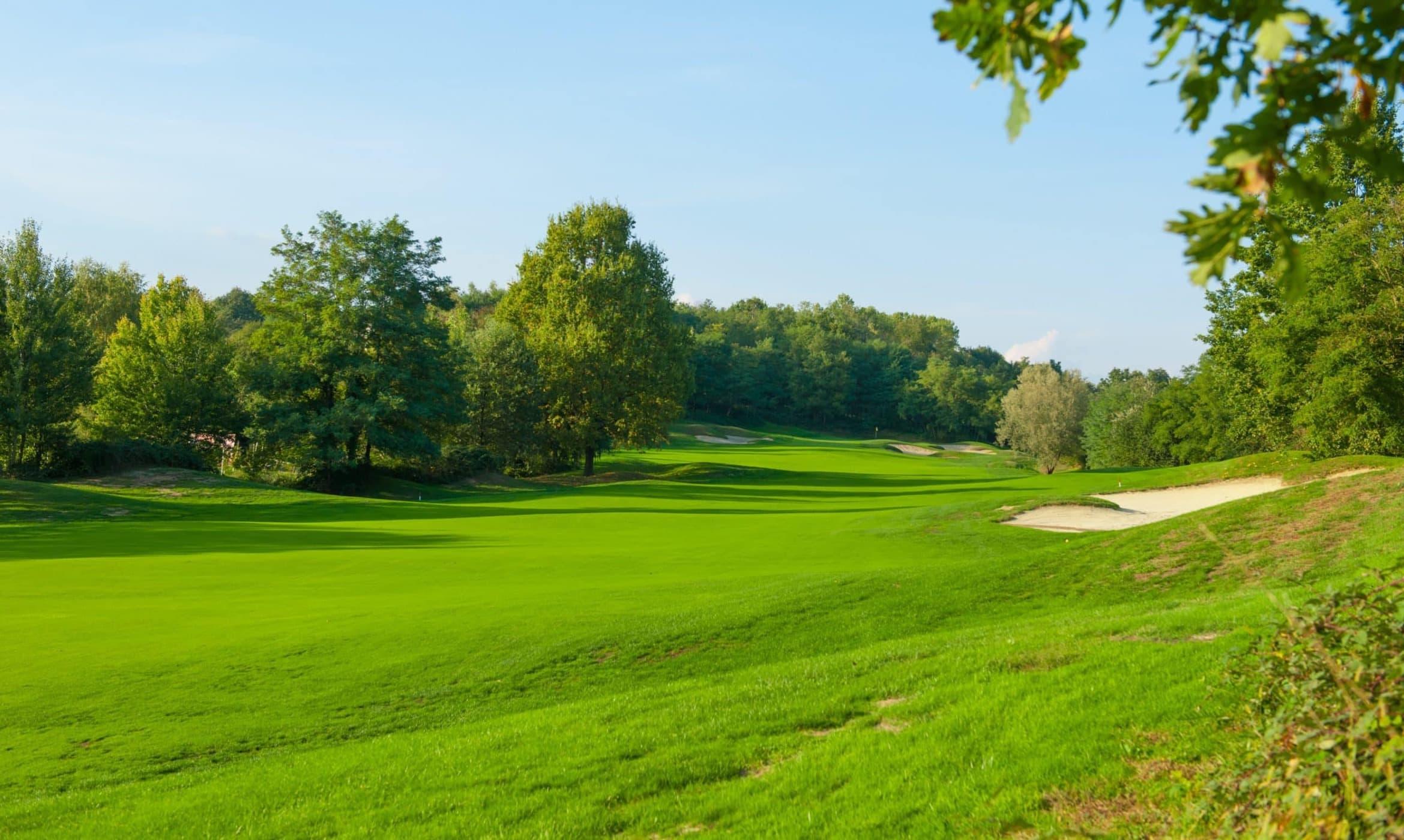 A lush green fairway framed by trees under a bright blue sky.